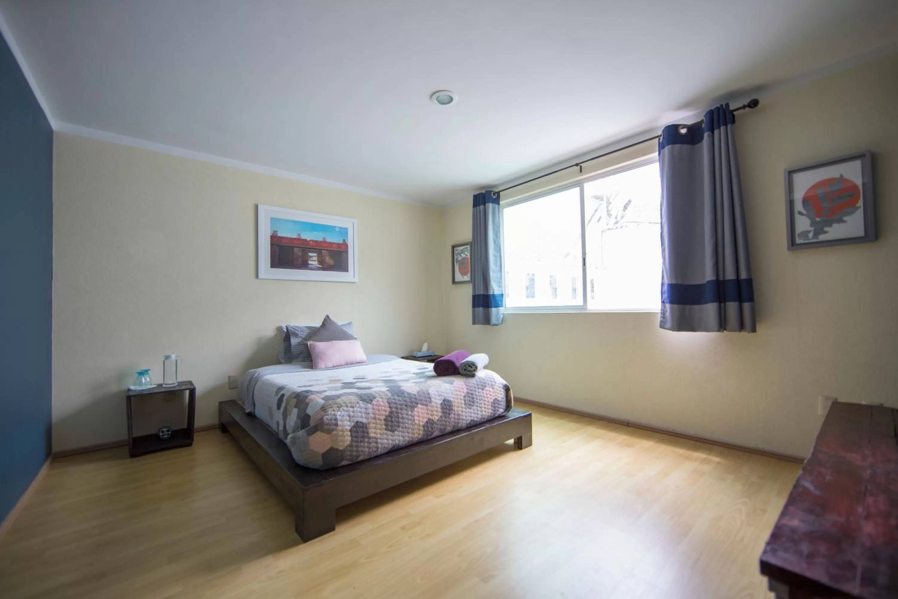 Double Room with Shared Bathroom in Casa Hidalgo En El Corazón de Coyoacán