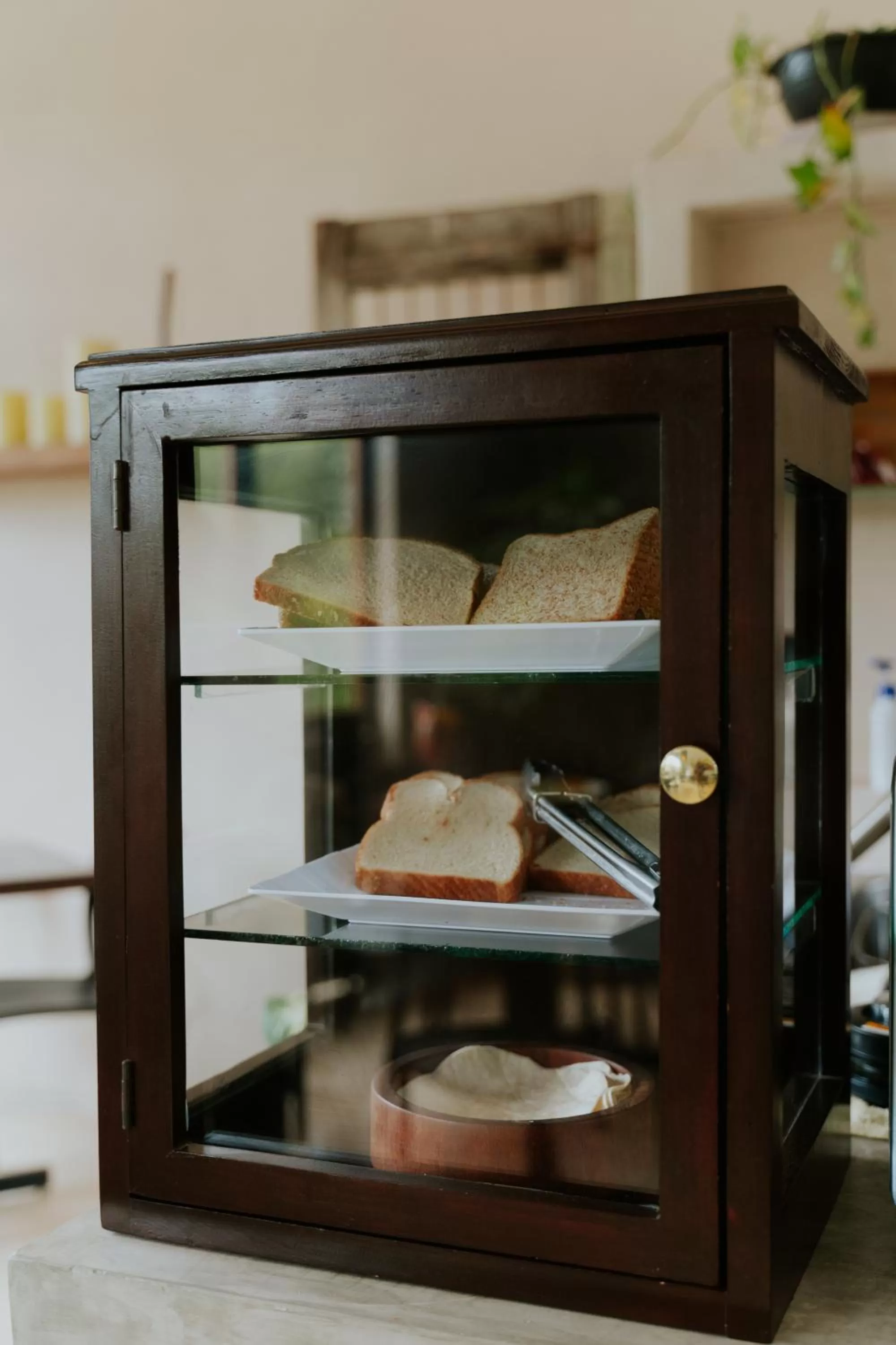 Breakfast in Panacea Condo Tulum