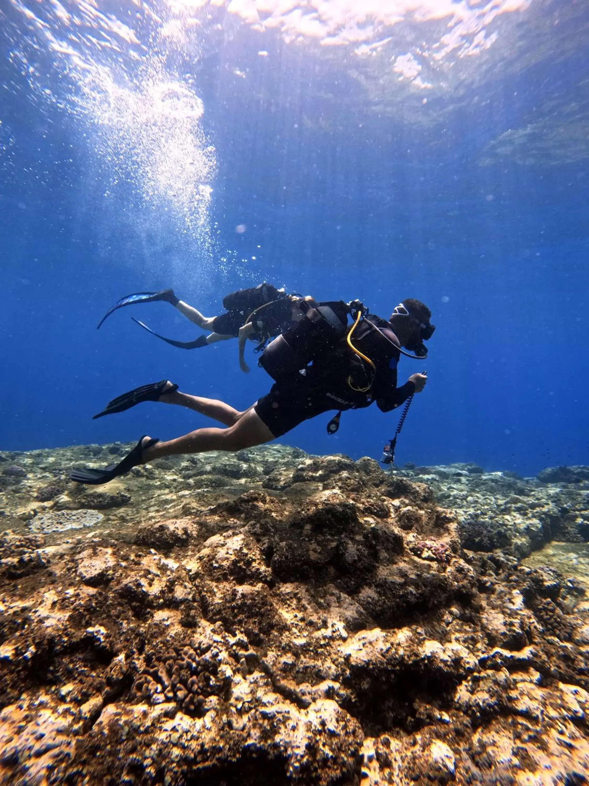 Activities, Snorkeling/Diving in Preskil Island Resort