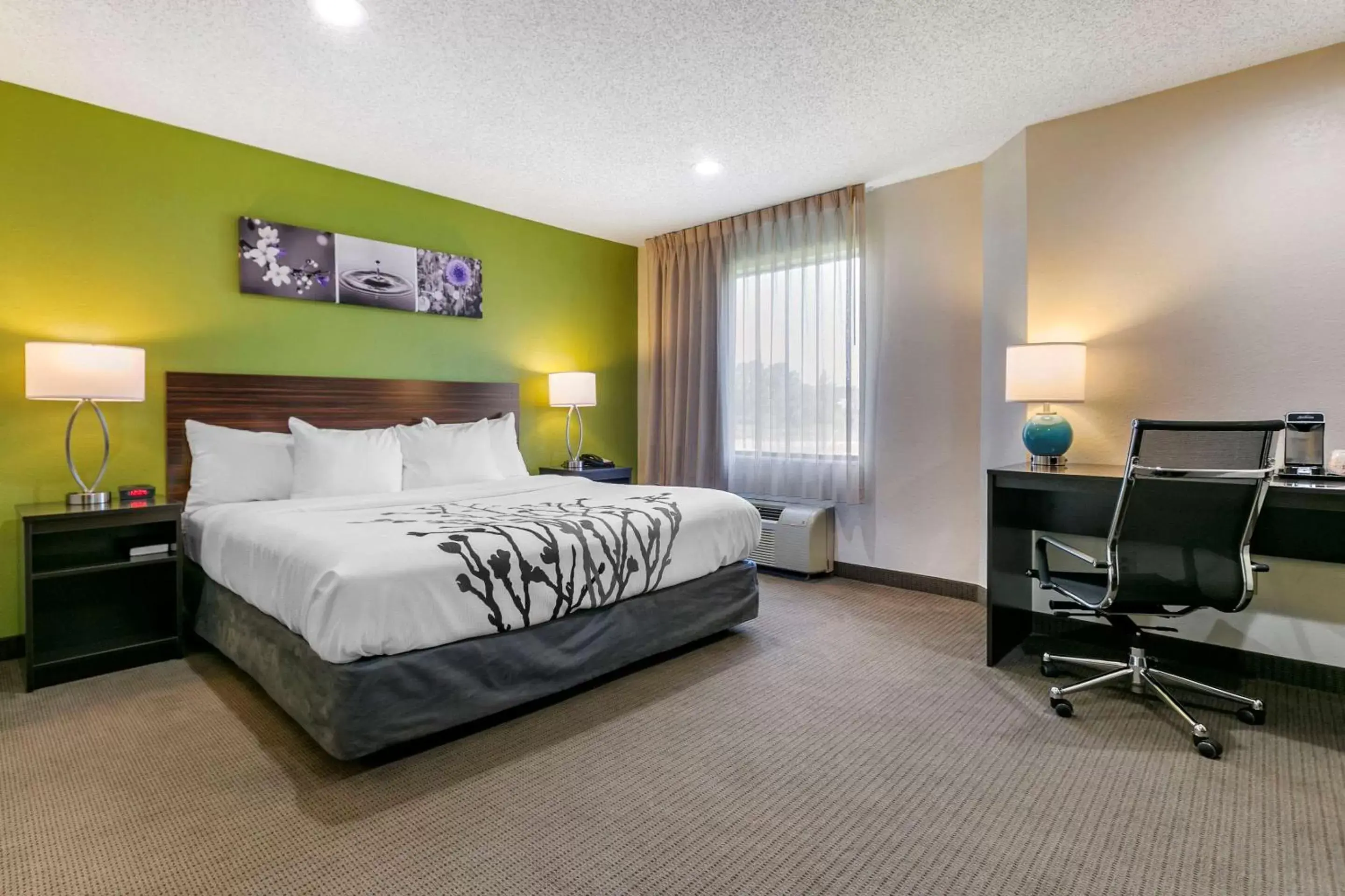 Photo of the whole room, Bed in Sleep Inn Allentown-Fogelsville