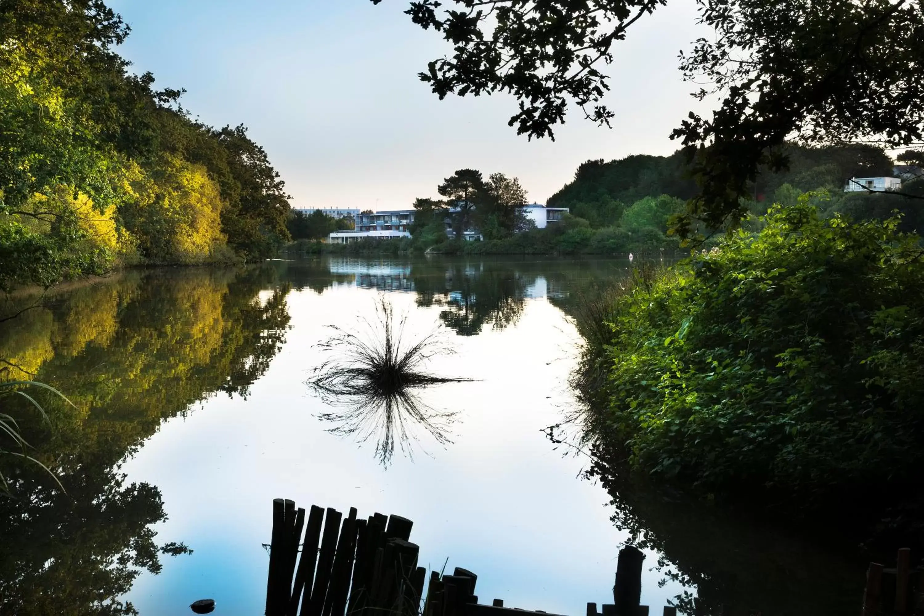 Natural landscape in Best Western Plus Hotel les Rives du Ter