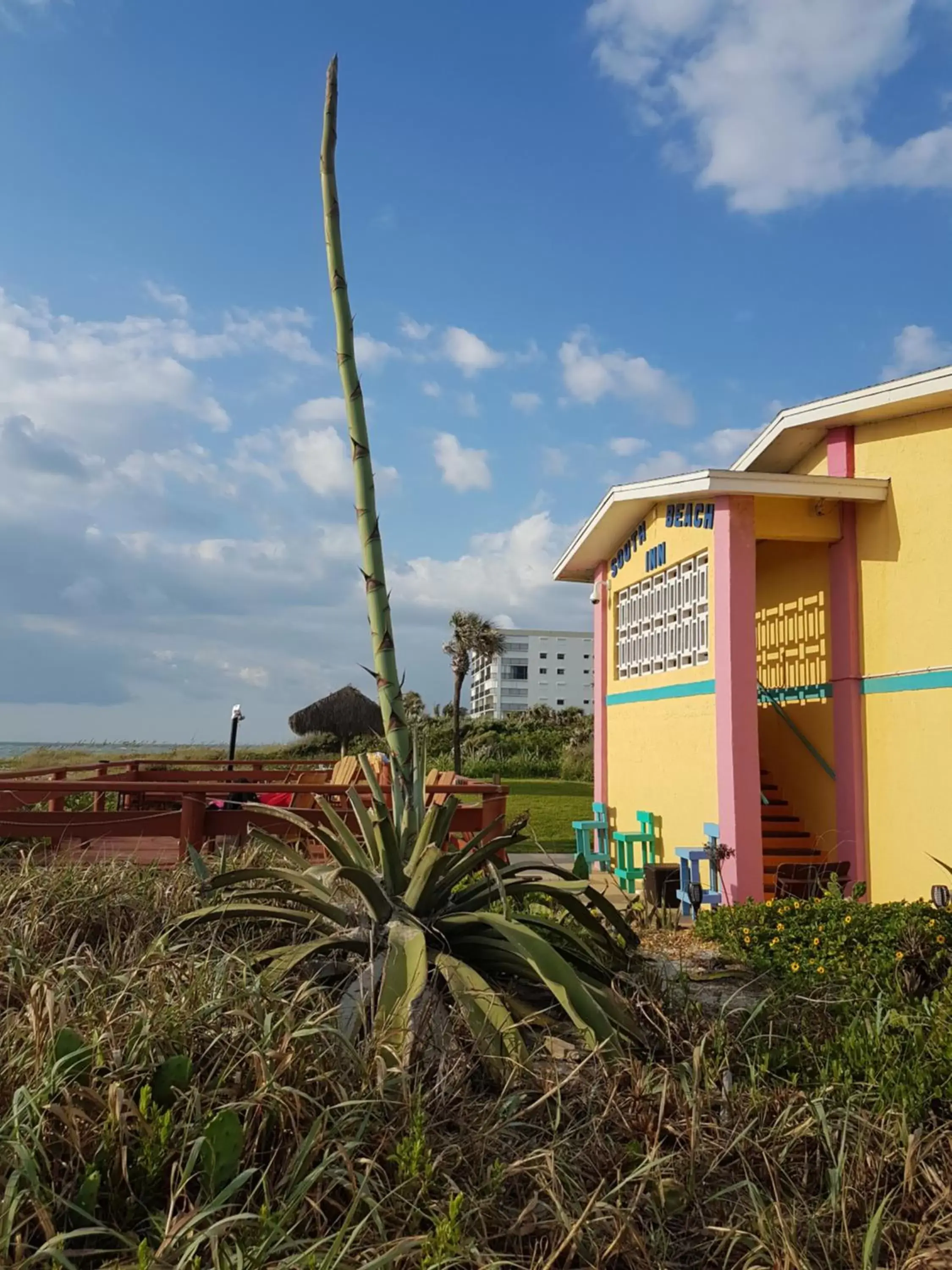 Patio, Property Building in South Beach Inn - Cocoa Beach