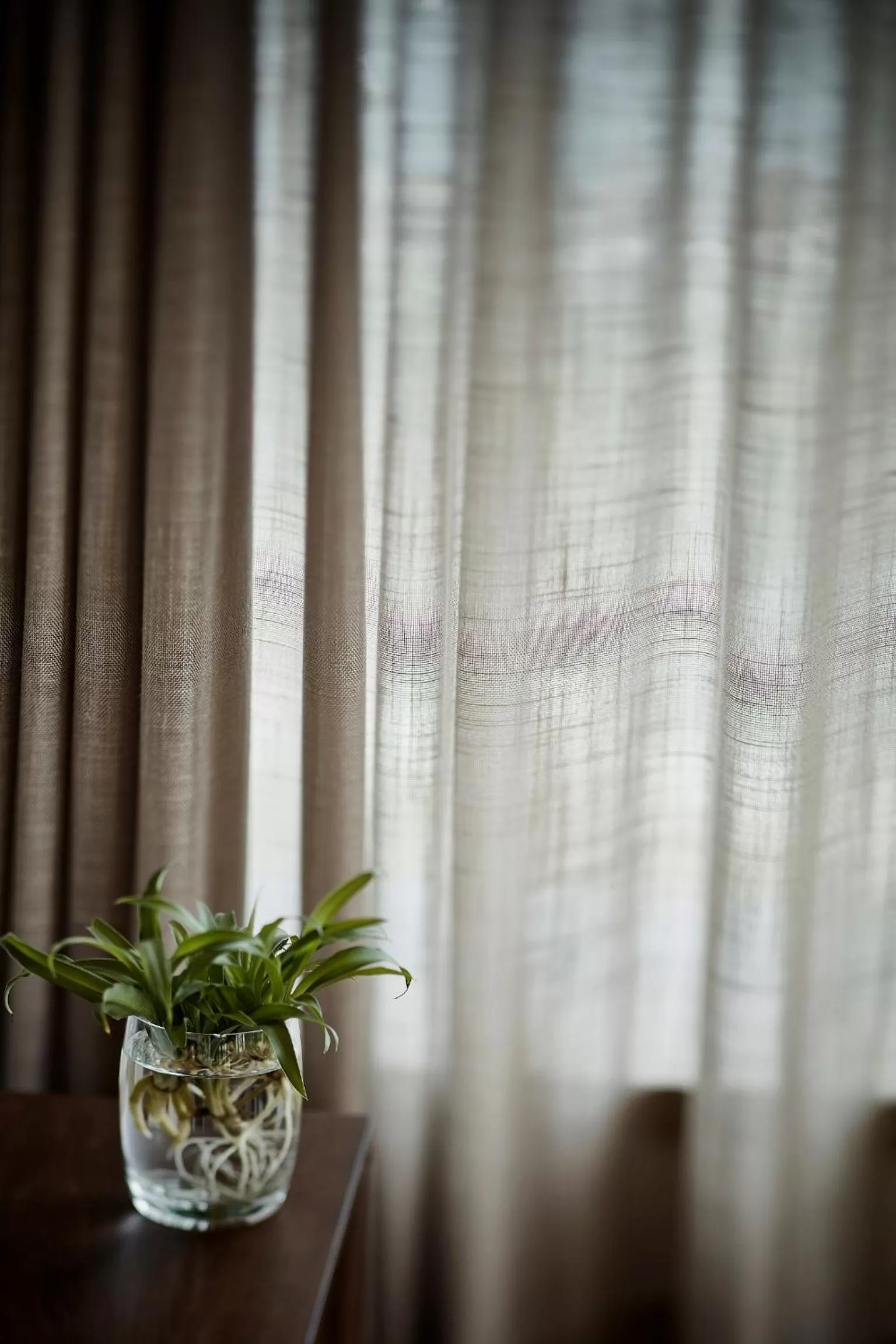 Other in Little Tai Hang