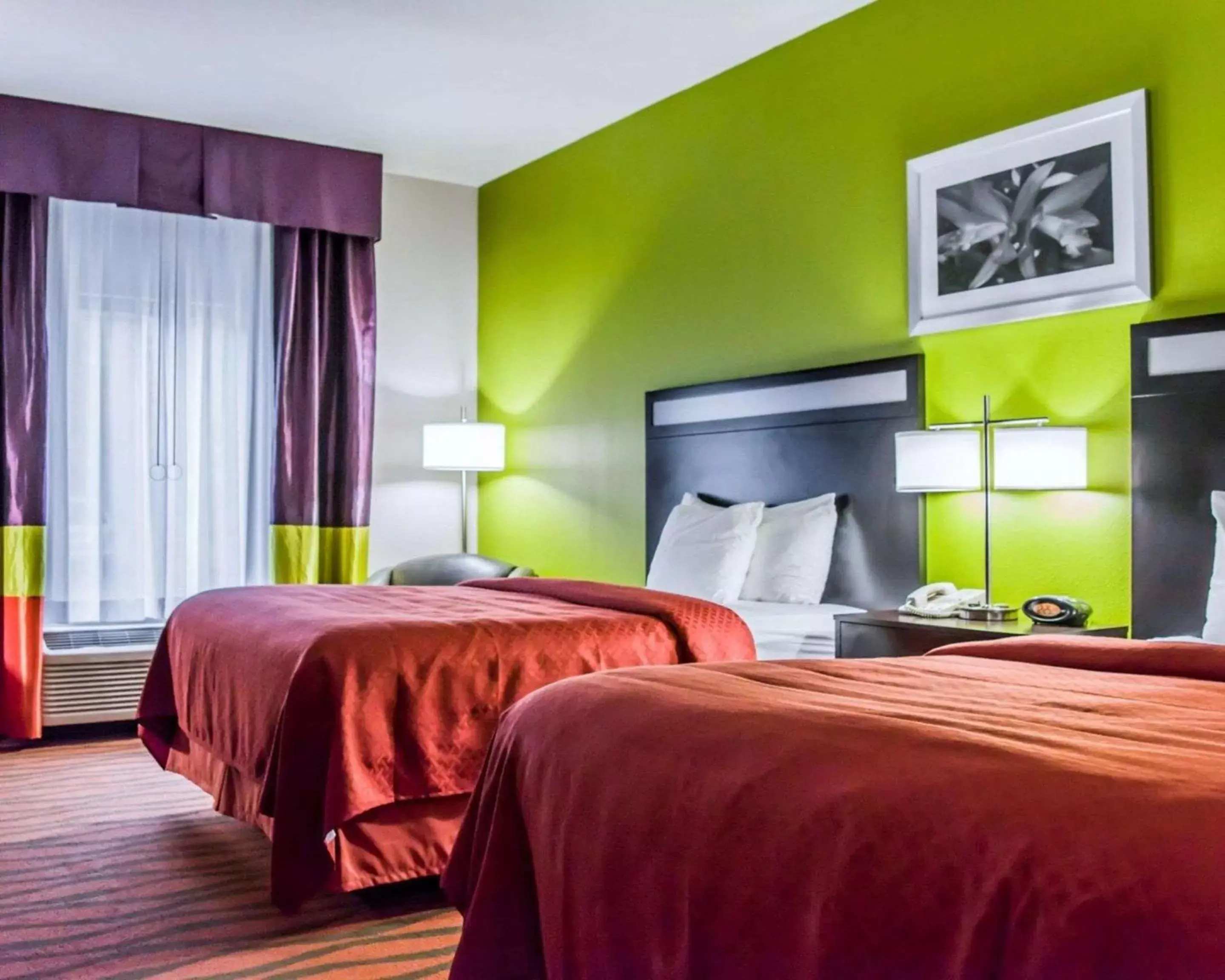 Photo of the whole room, Bed in Quality Suites Fort Myers I-75 Photo of the whole room, Bed in Quality Suites Fort Myers I-75