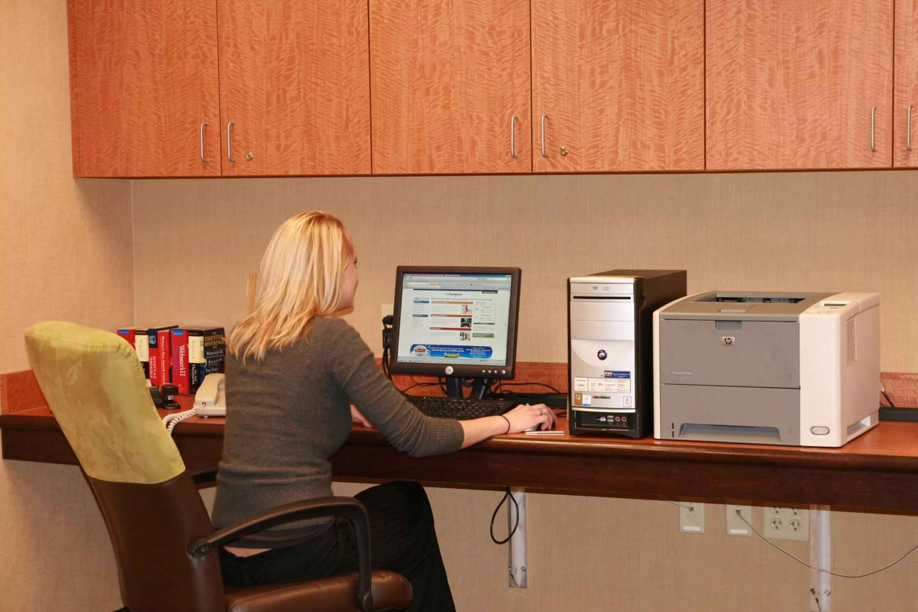Business facilities in Hampton Inn & Suites Albany-Airport