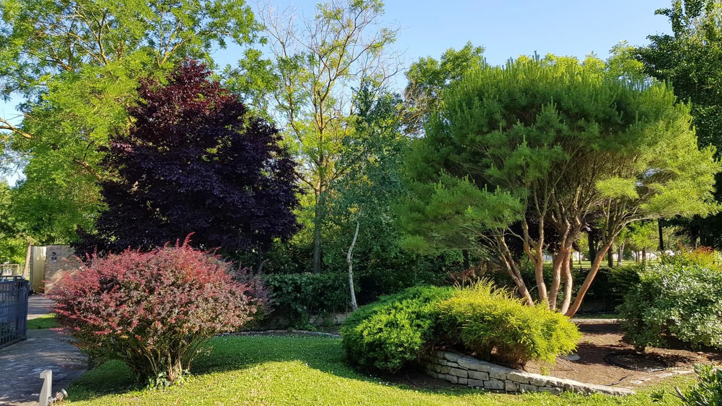 Facade/entrance in Hotel Classensis