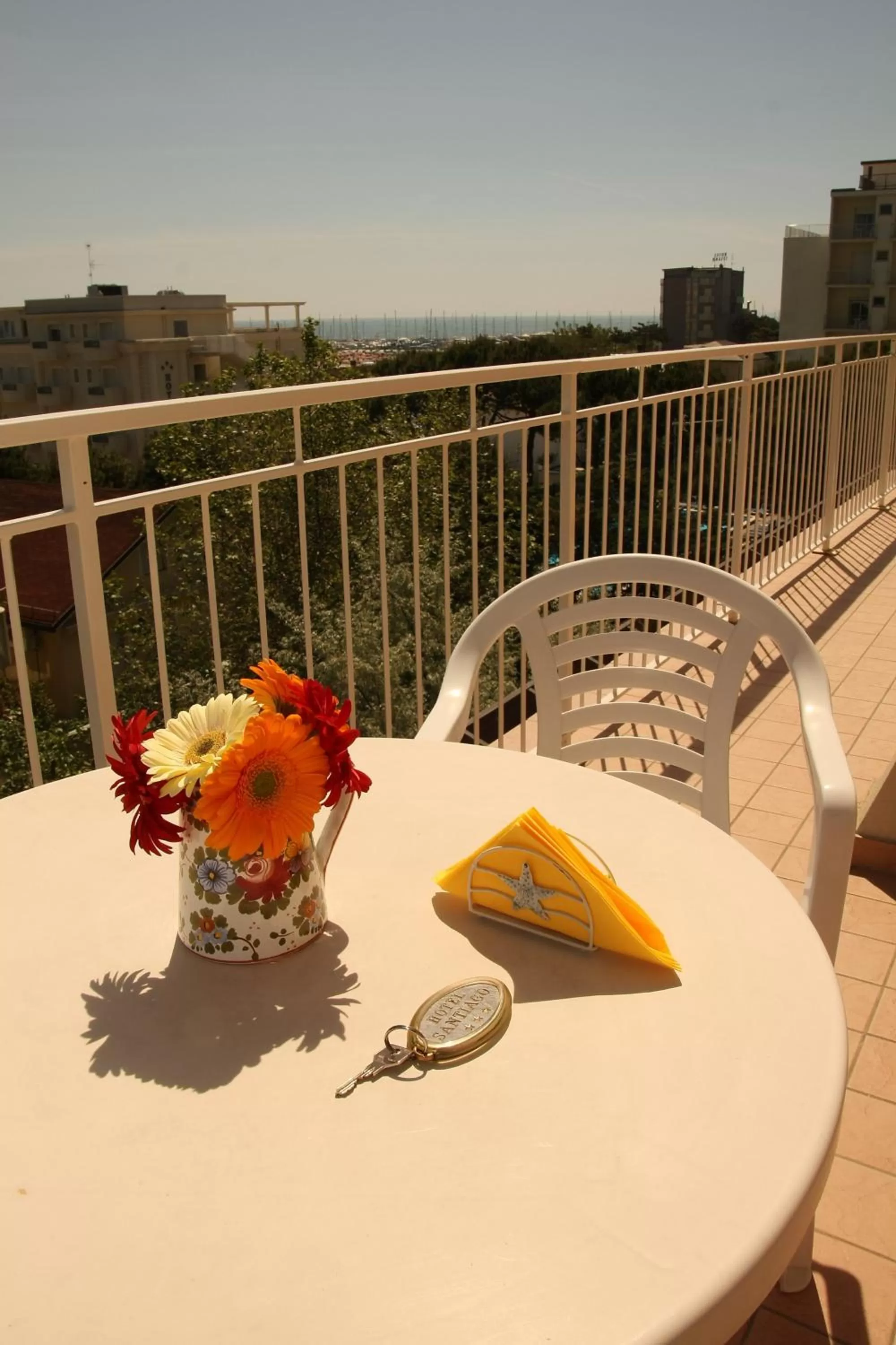Balcony/Terrace in Hotel Santiago