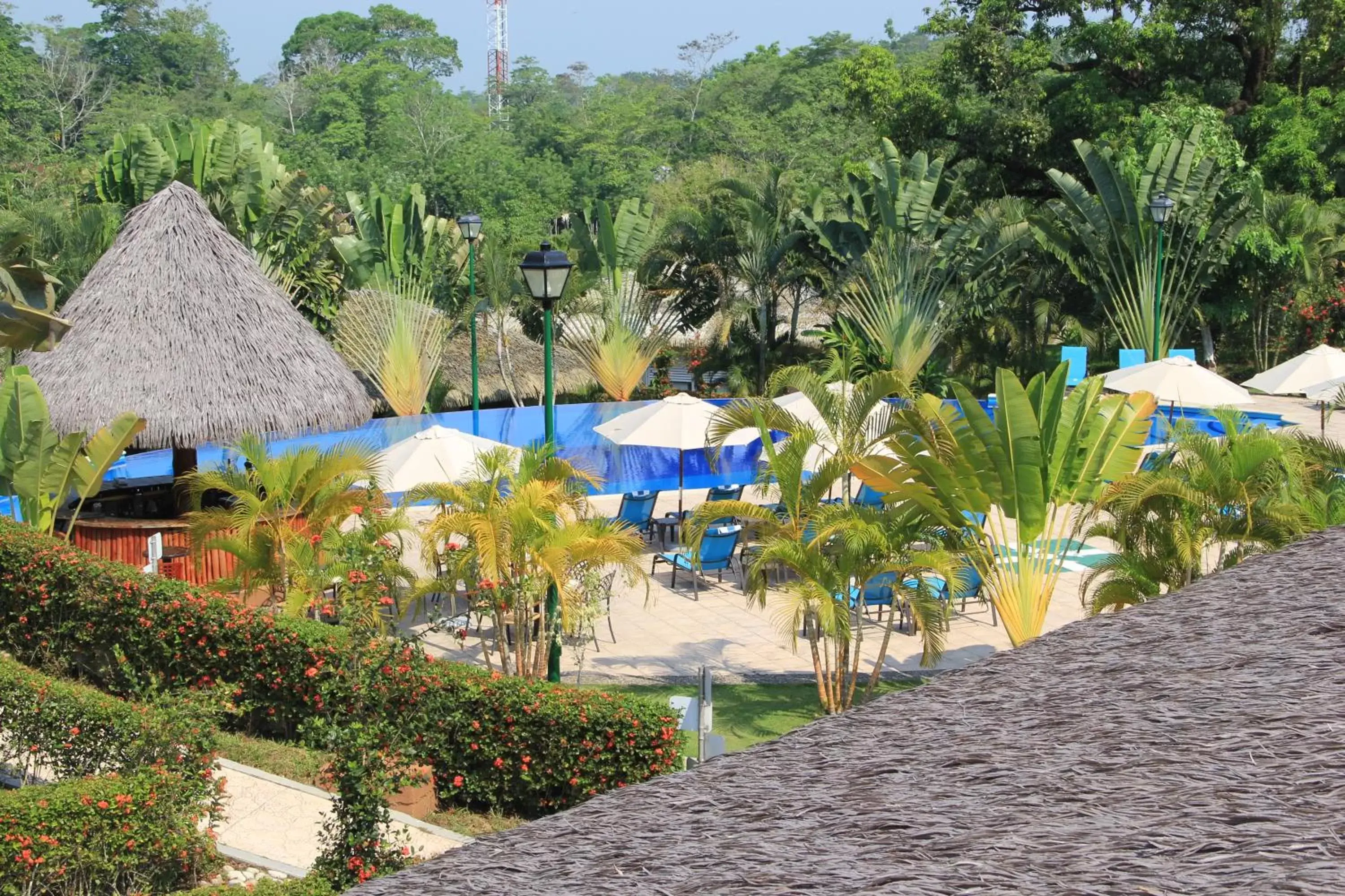 Swimming pool, Pool View in Hotel Villa Mercedes Palenque