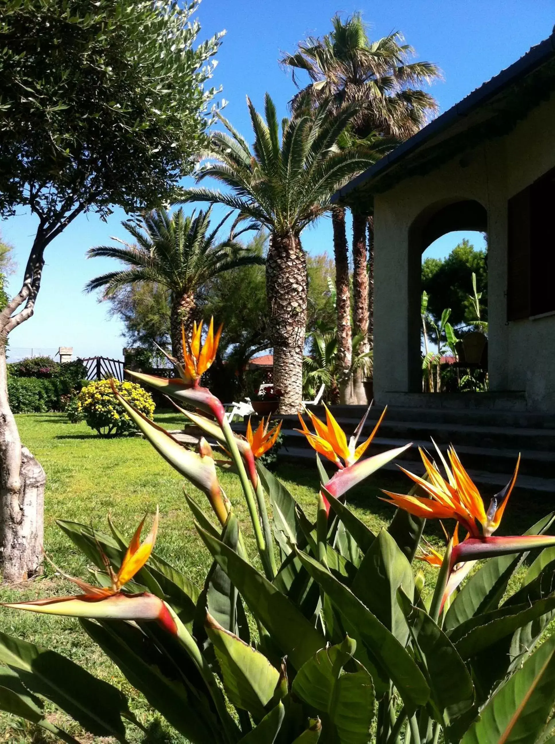 Garden in Villa Giada