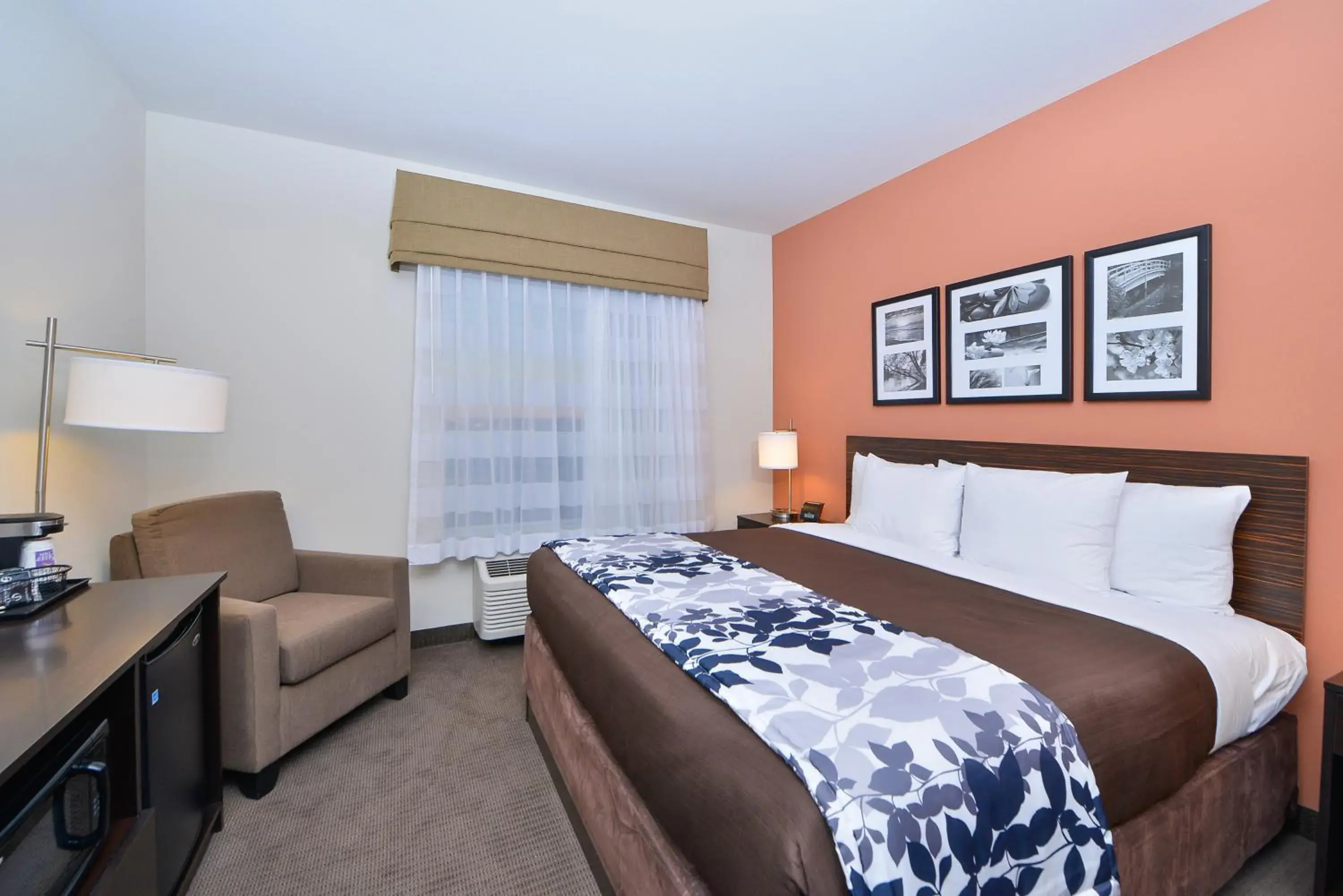 Photo of the whole room, Bed in Sleep Inn & Suites Austin – Tech Center