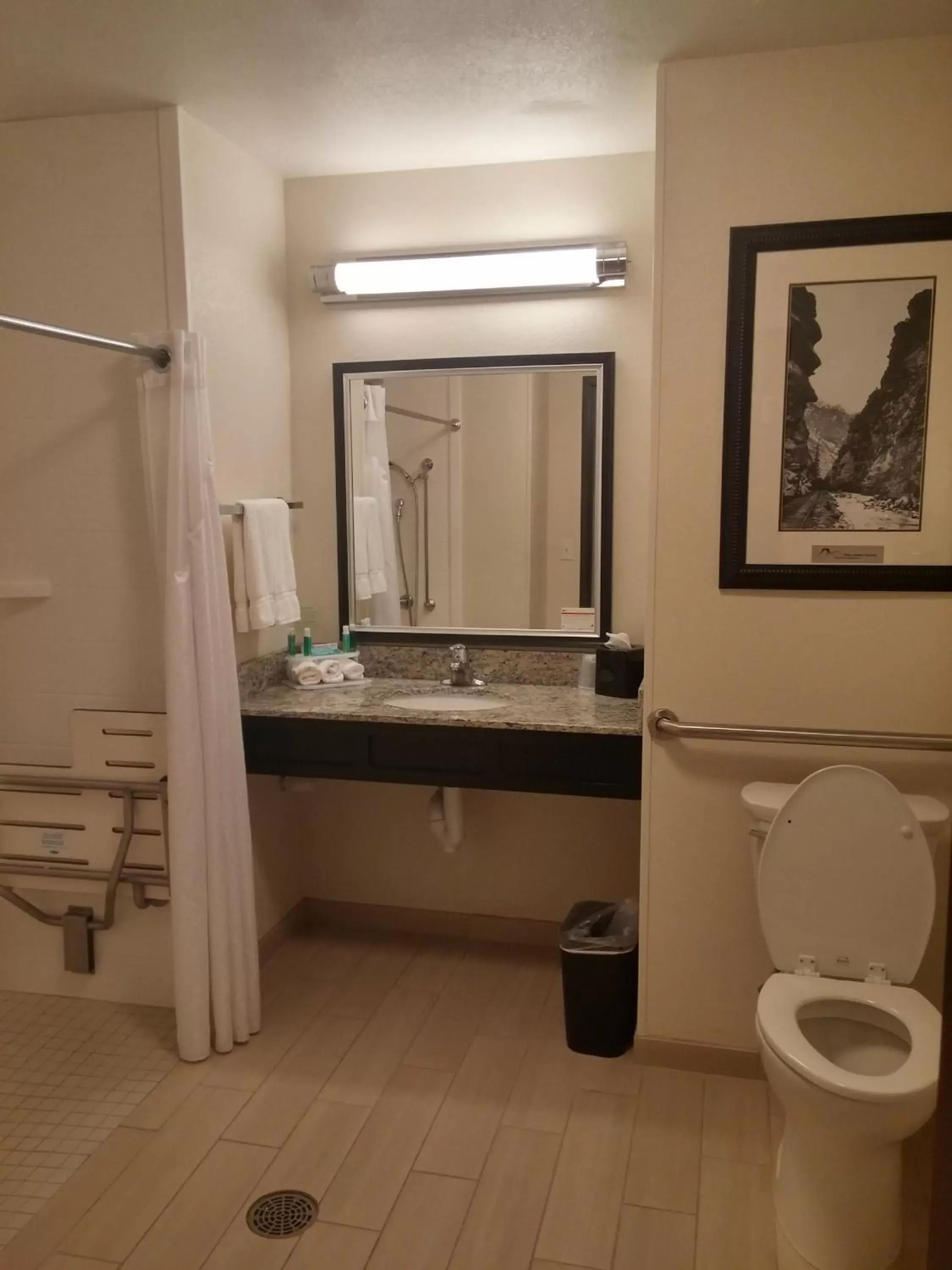 Photo of the whole room, Bathroom in Holiday Inn Express & Suites Golden, an IHG Hotel