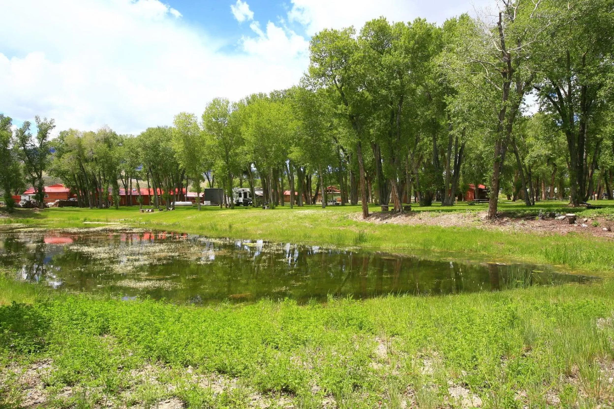 Summer in The Longhorn Ranch Resort Lodge & RV Park