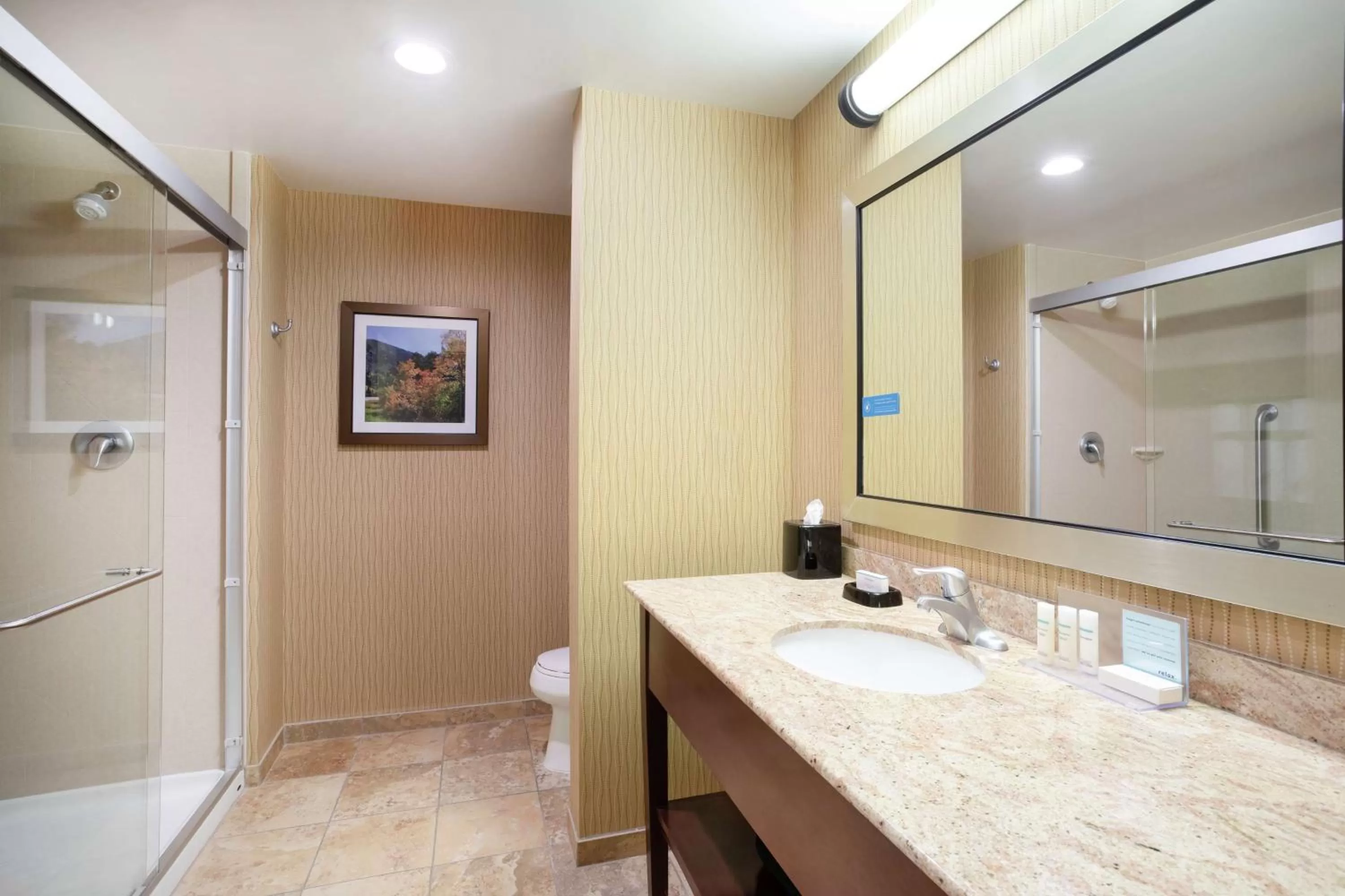 Bathroom in Hampton Inn and Suites Denver/South-RidgeGate