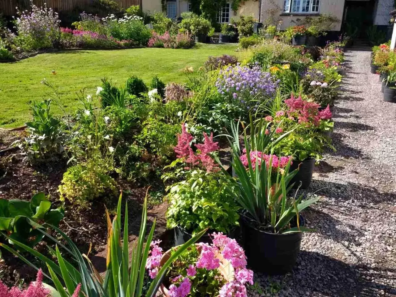 Garden view, Garden in Brambles Bed and Breakfast