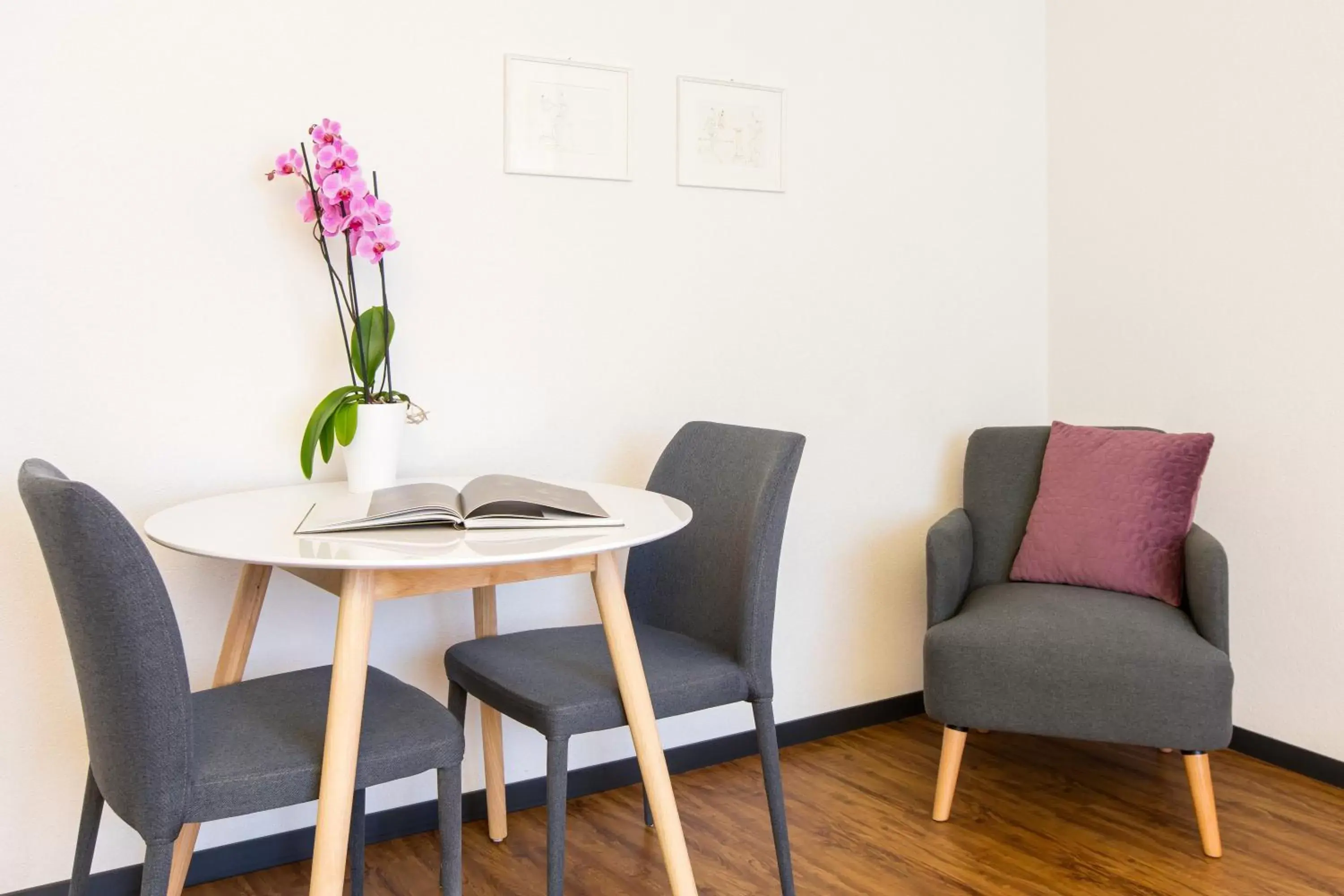 Seating area, Dining Area in Apartmenthaus zum Trillen Basel City Center