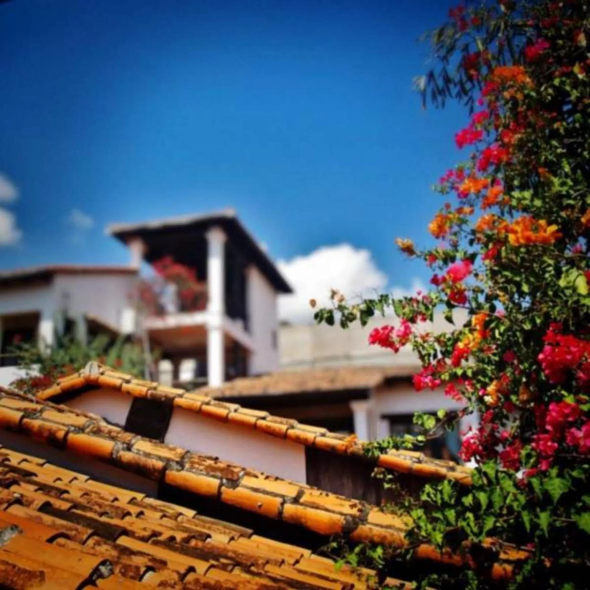 On site in Hotel Marina Copan