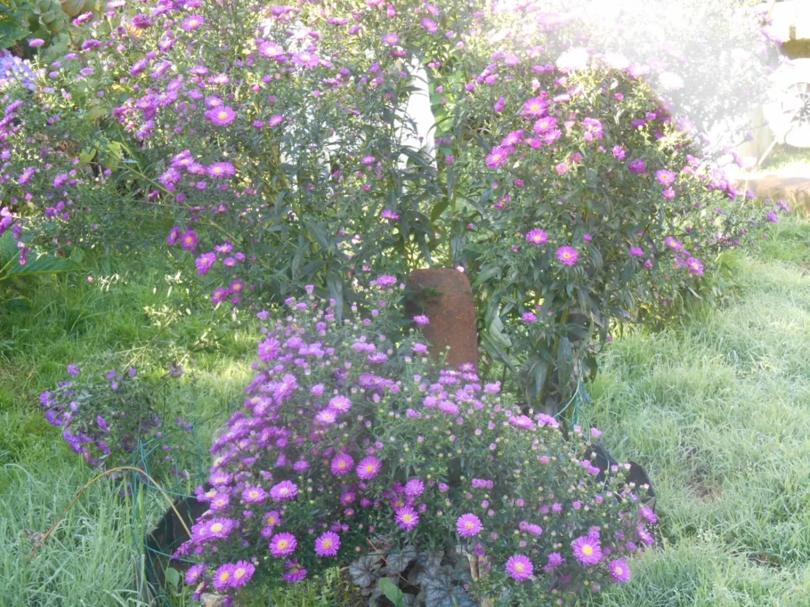 Decorative detail in La Mare aux Fées