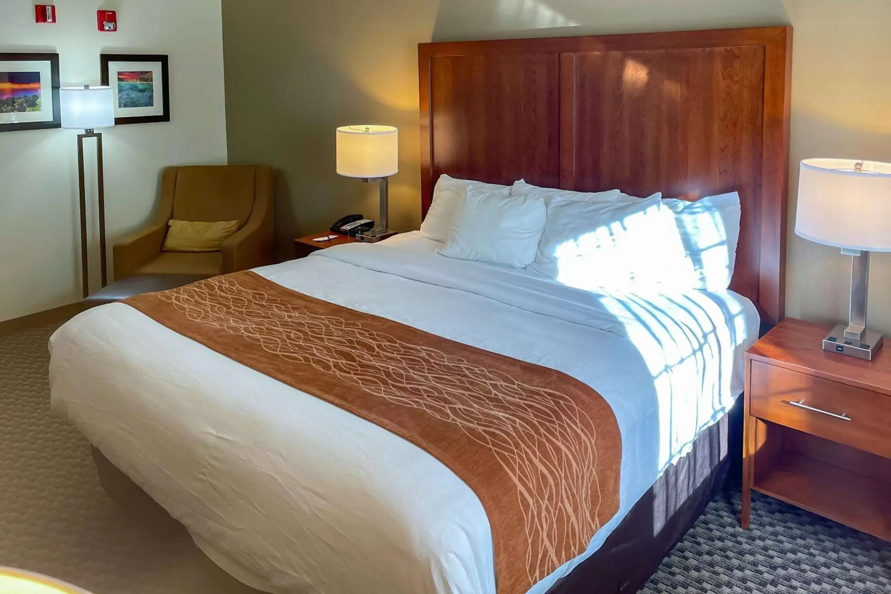 Bedroom, Bed in Comfort Inn & Suites Midtown