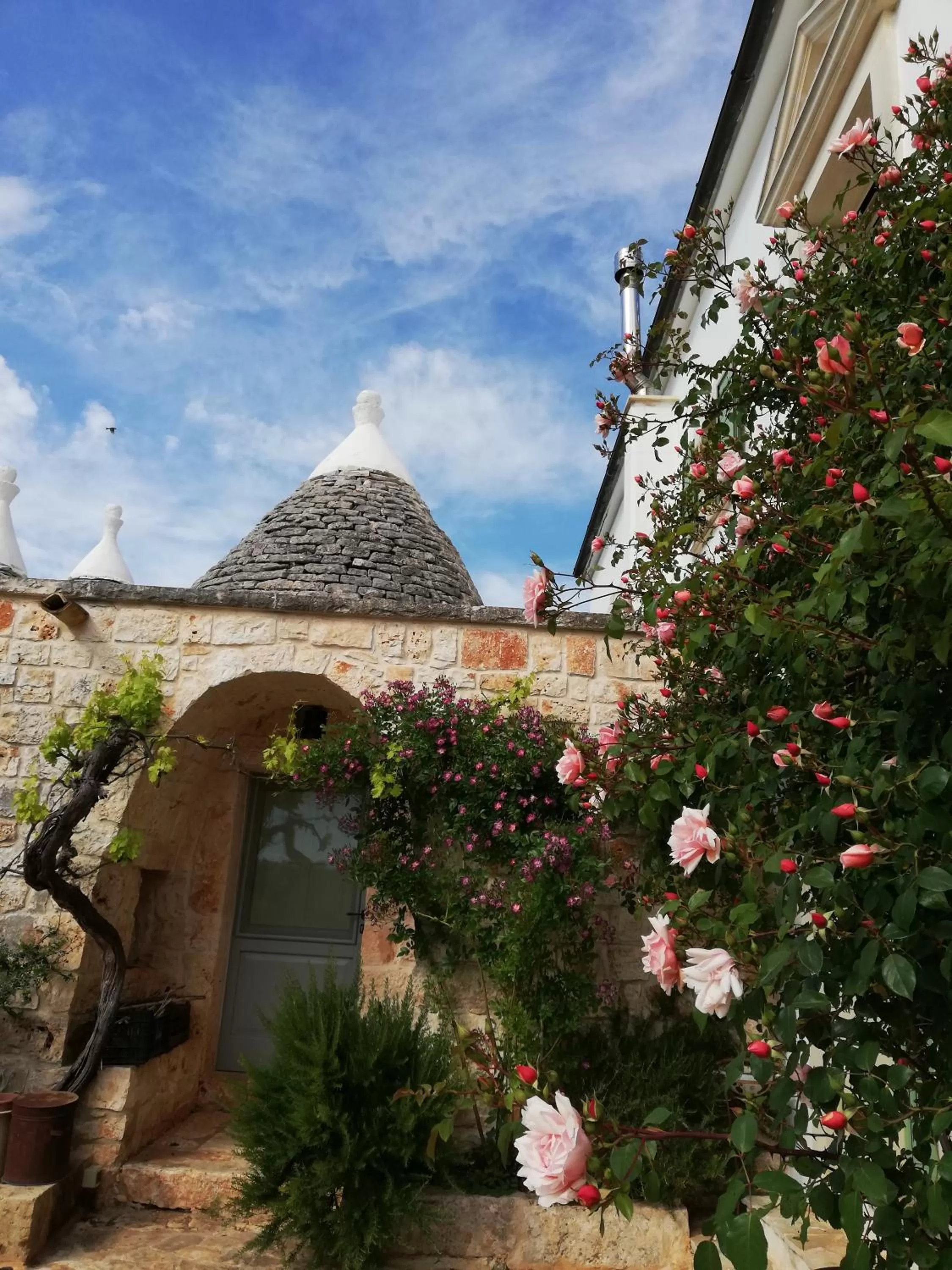 Day, Property Building in B&B Giovannarolla Green House