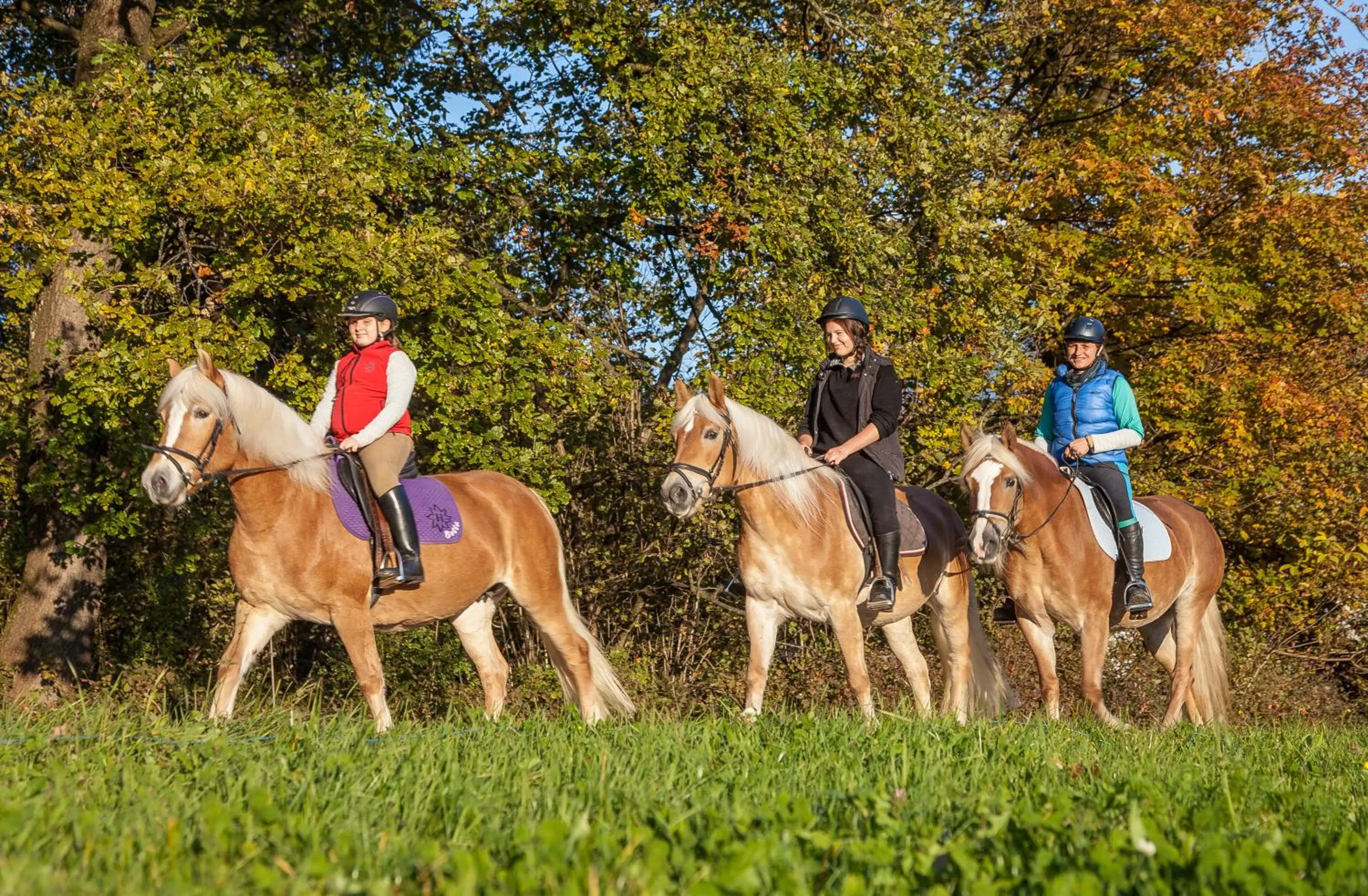 Horse-riding in Hotel Hauserwirt