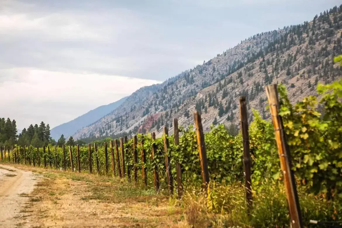 Similkameen Wild Resort & Winery Retreat