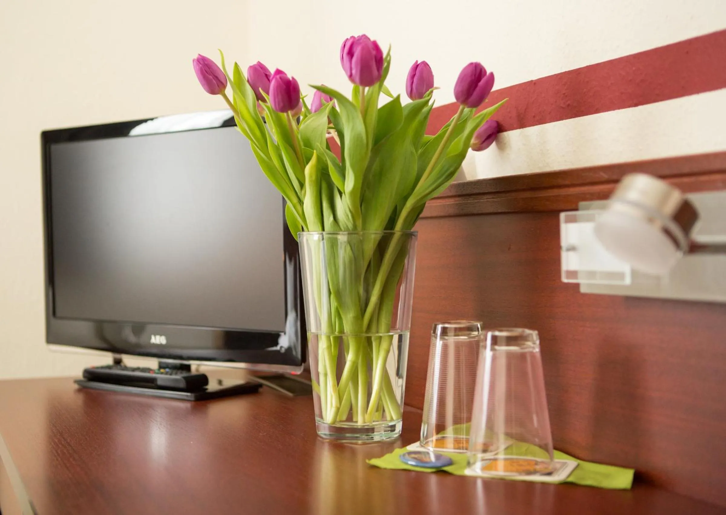 TV and multimedia in Hotel Weisse Elster