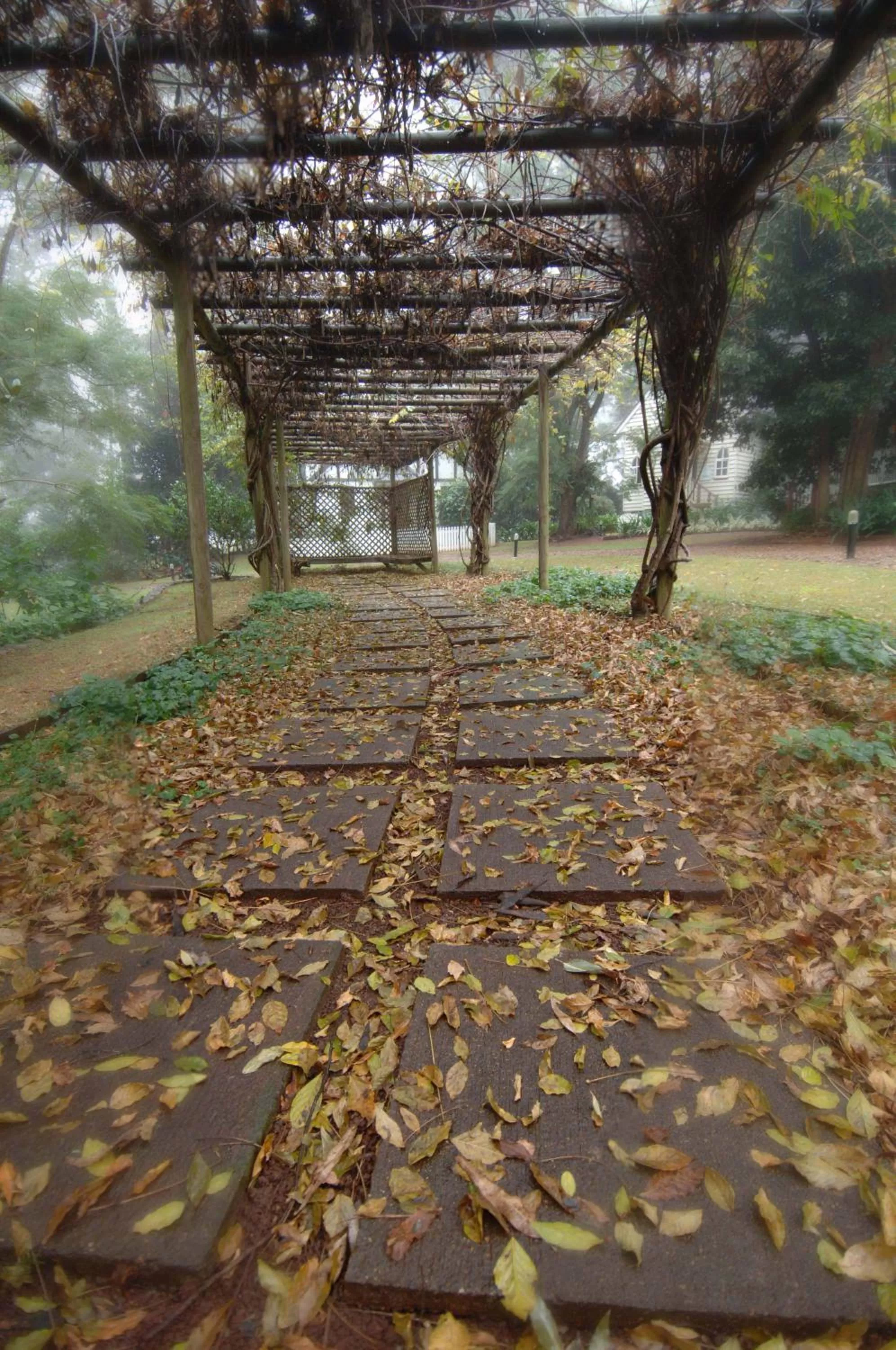 Restaurant/places to eat in The Castle on Tamborine