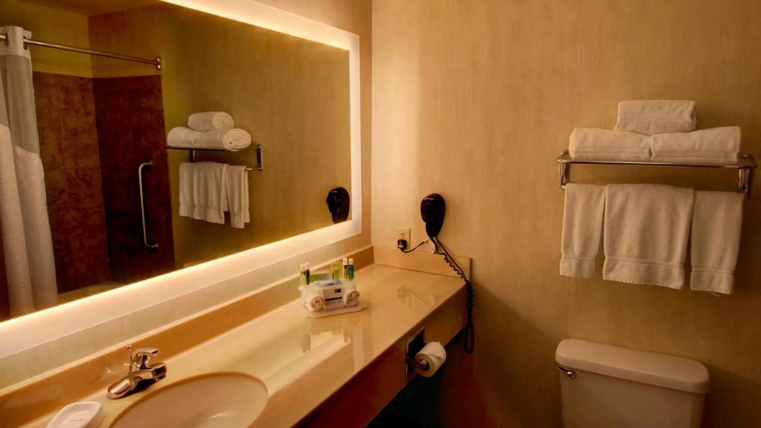 Standard King Room in Holiday Inn Express & Suites Sioux Center by IHG Standard King Room in Holiday Inn Express & Suites Sioux Center by IHG