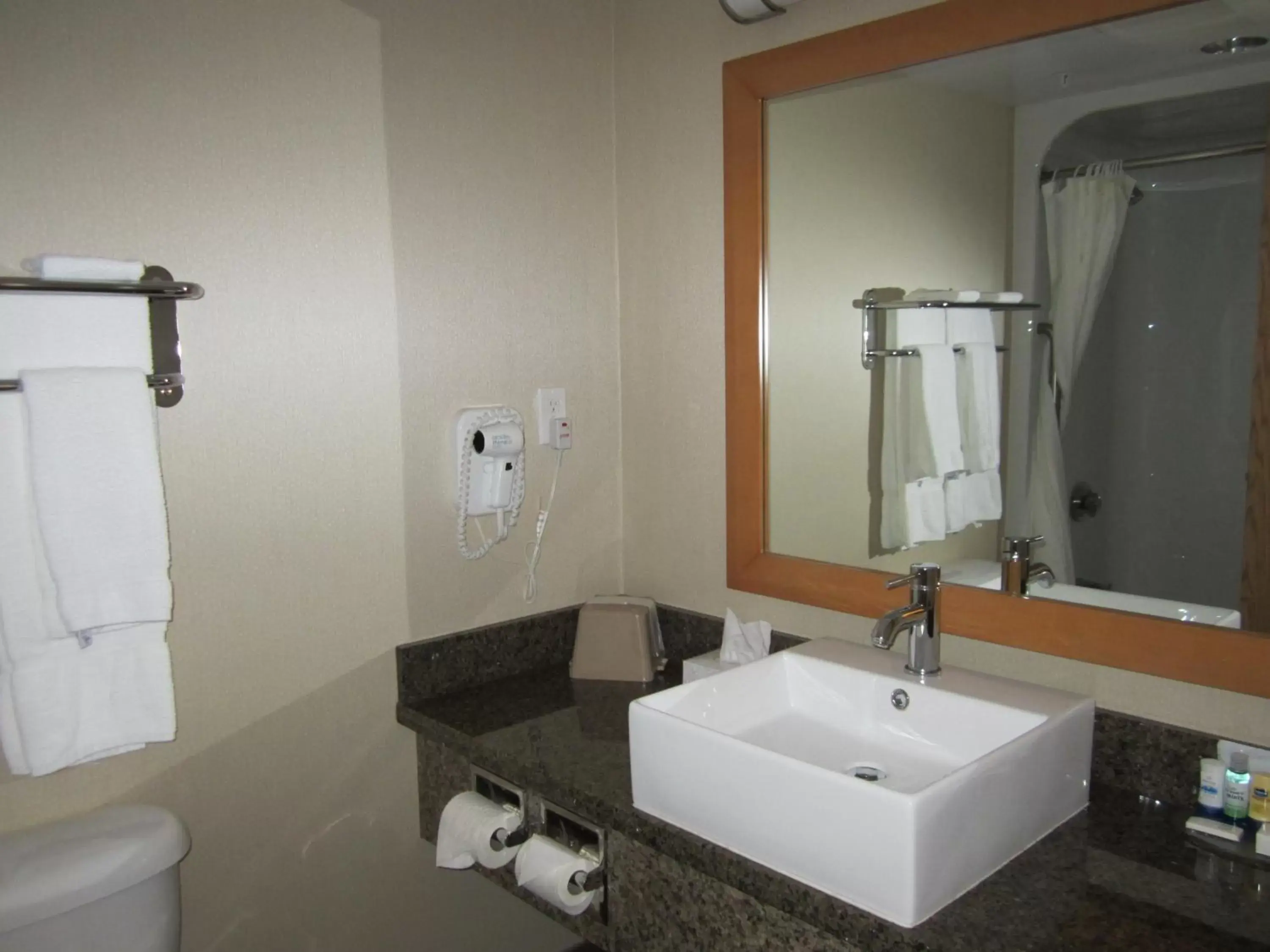 Bathroom in Woodlands Inn & Suites