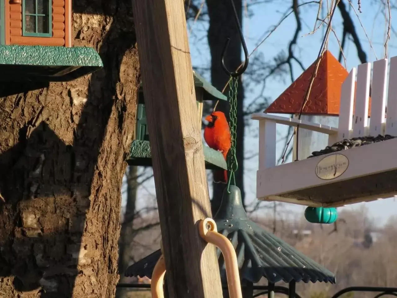 Blue Ridge Manor Bed and Breakfast Blue Ridge Manor Bed and Breakfast