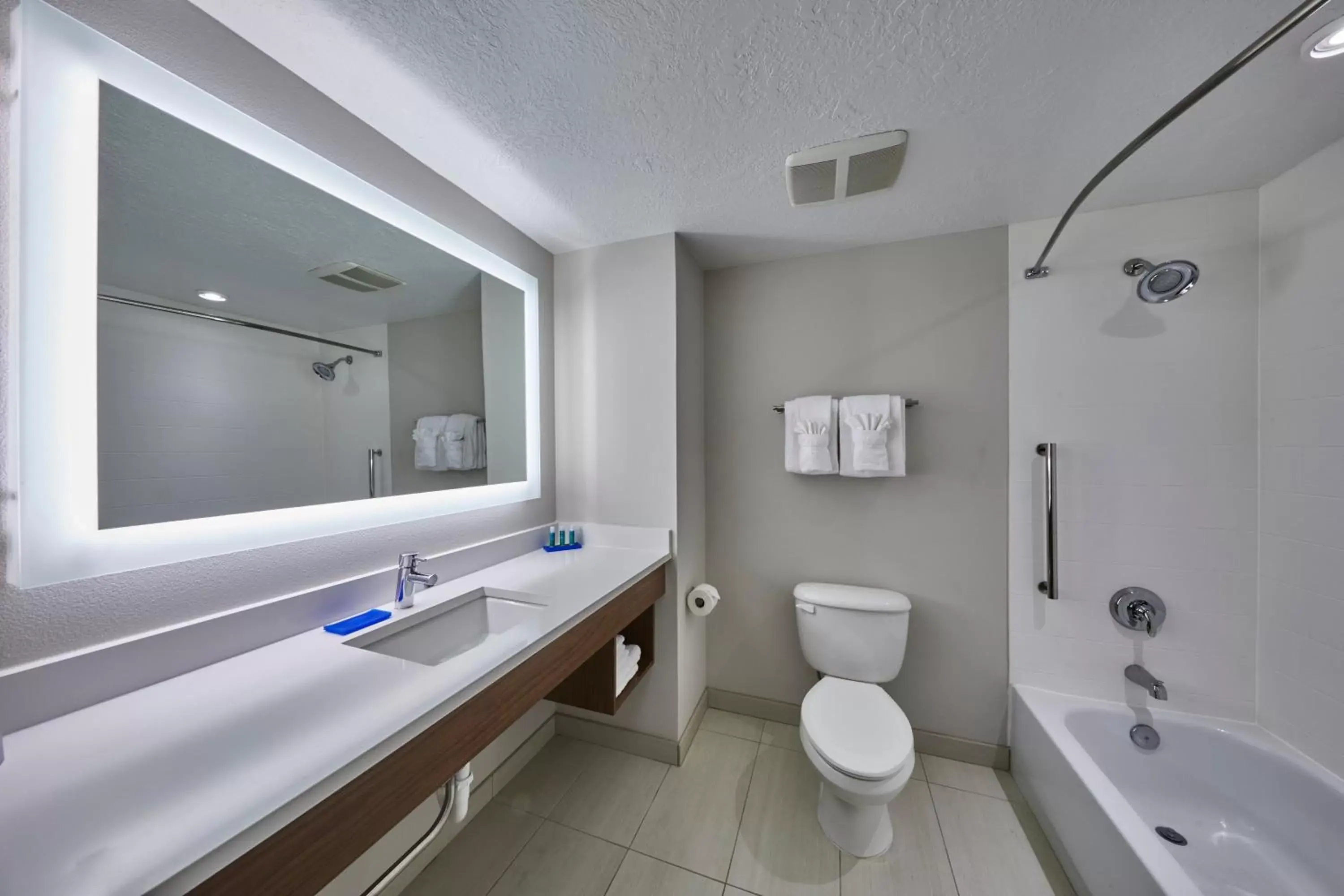 Bathroom in Holiday Inn Express Hotel & Suites Medford-Central Point, an IHG Hotel
