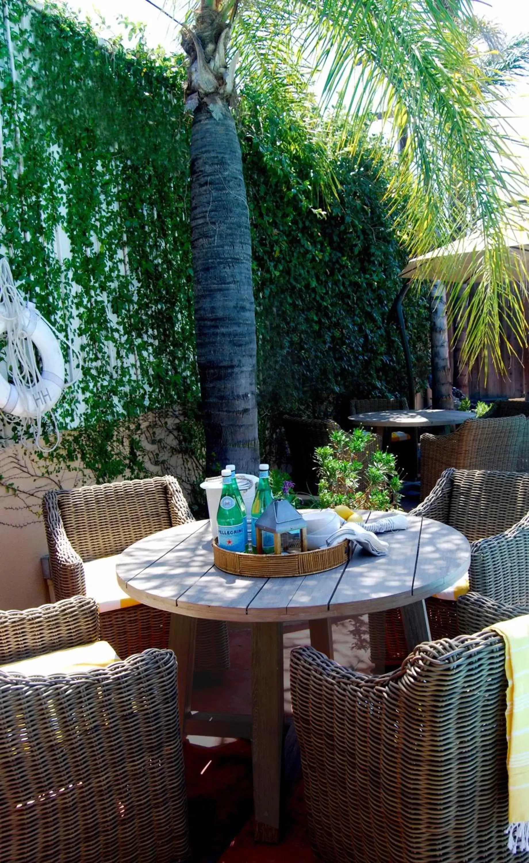 Garden, Patio/Outdoor Area in Hollywood Hotel - The Hotel of Hollywood Near Universal Studios