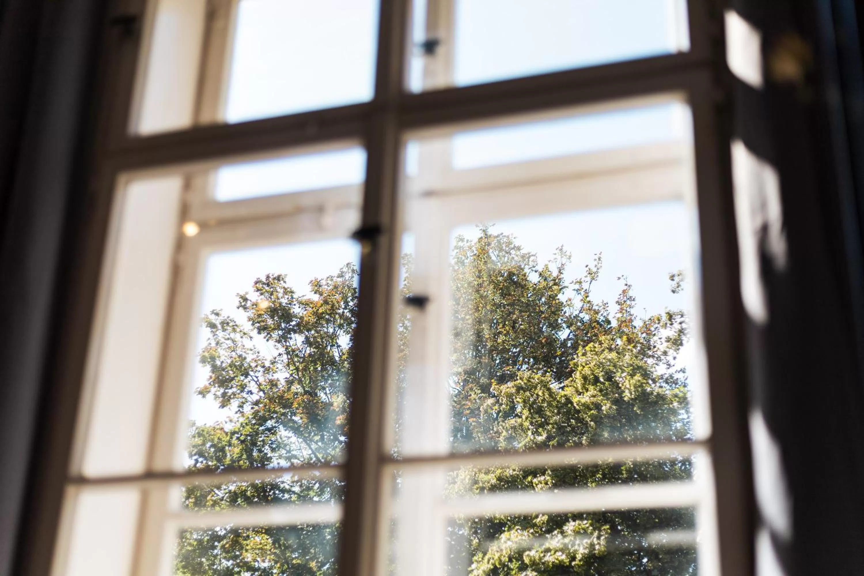 View (from property/room) in Apartments an der Oper - Innenstadt - Zentral - Küche - Wifi - Powered by Ko-Living