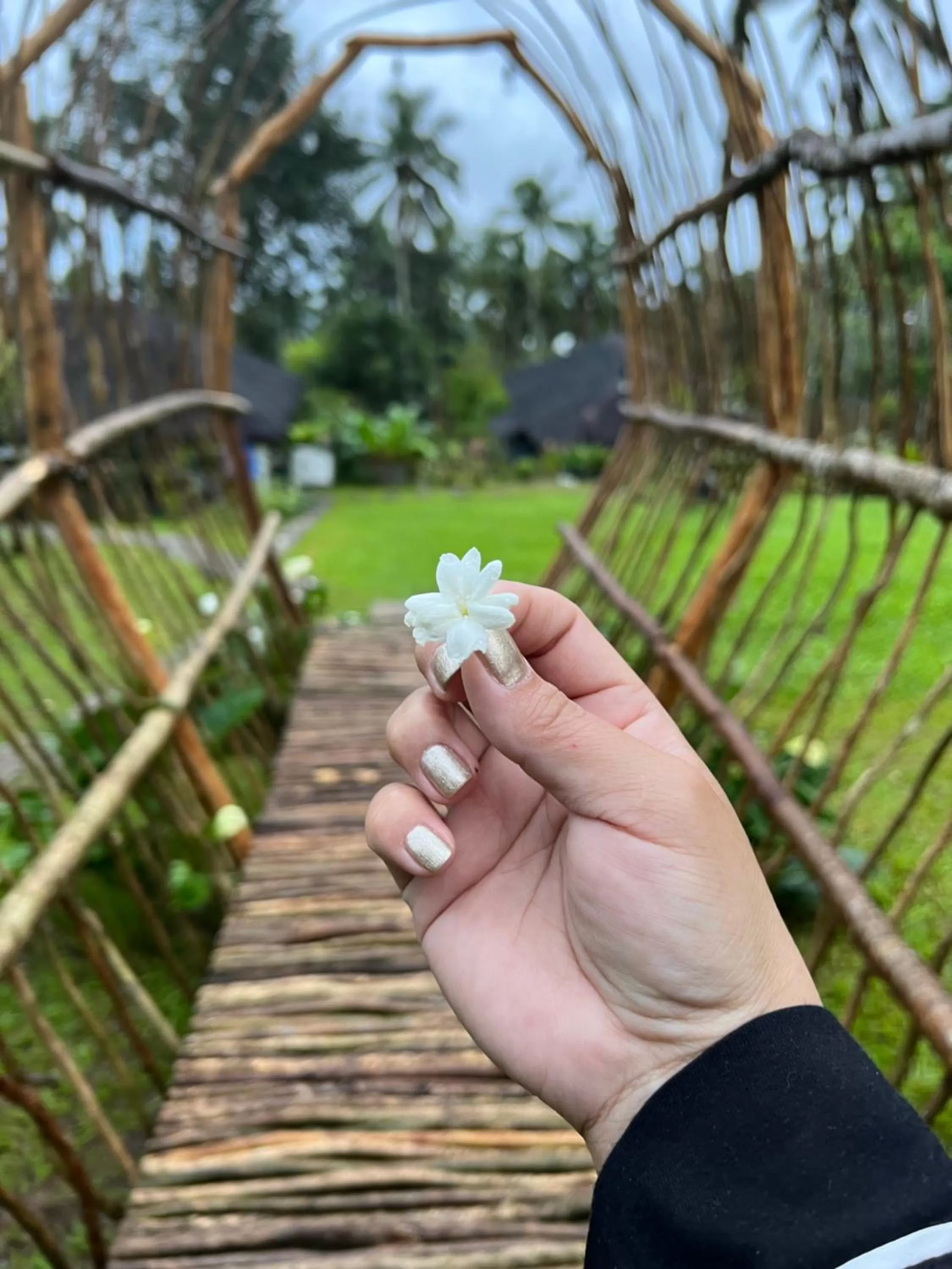 Natural landscape in Bintana sa Paraiso Binunsaran