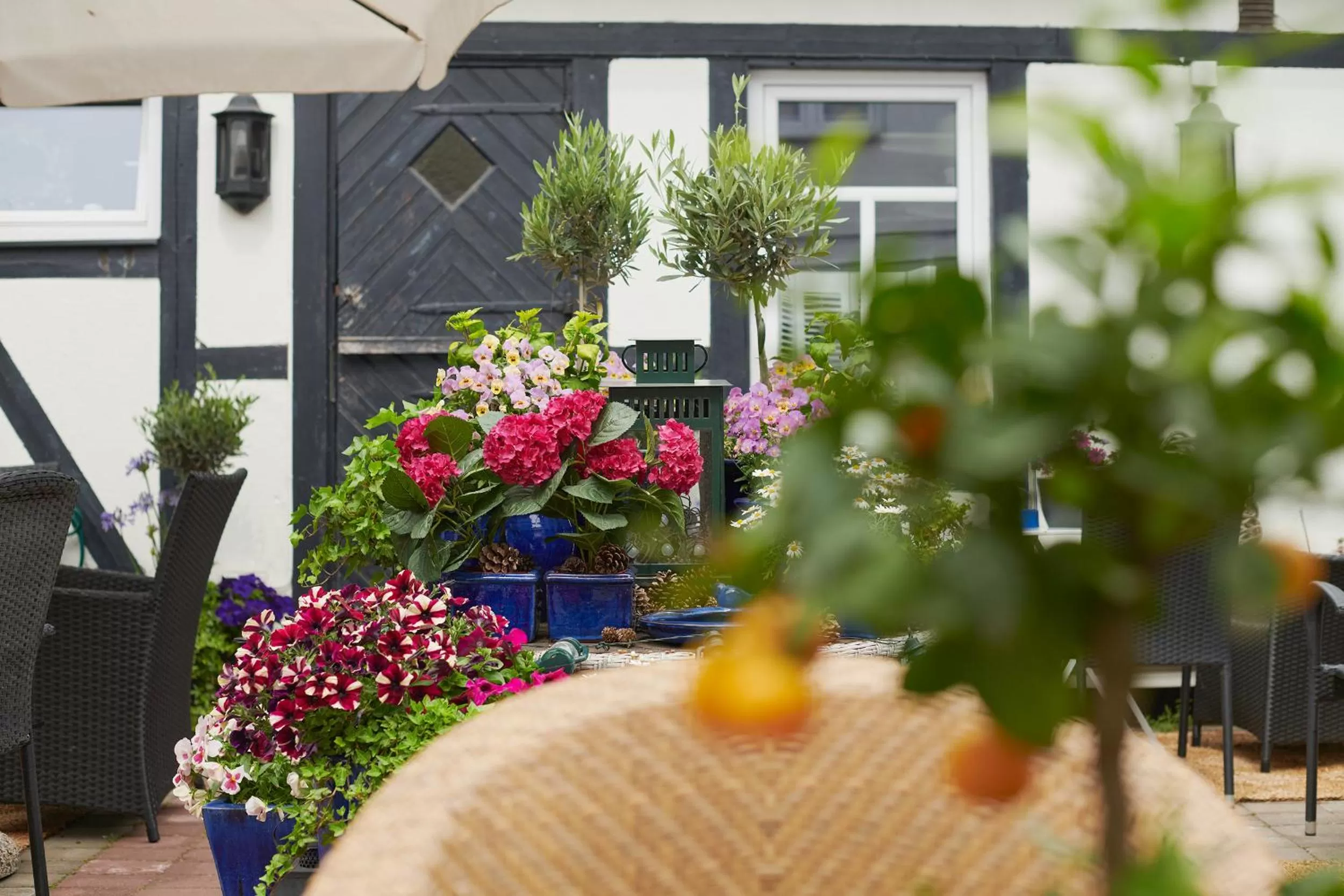 Patio in Hotell Bäckagården