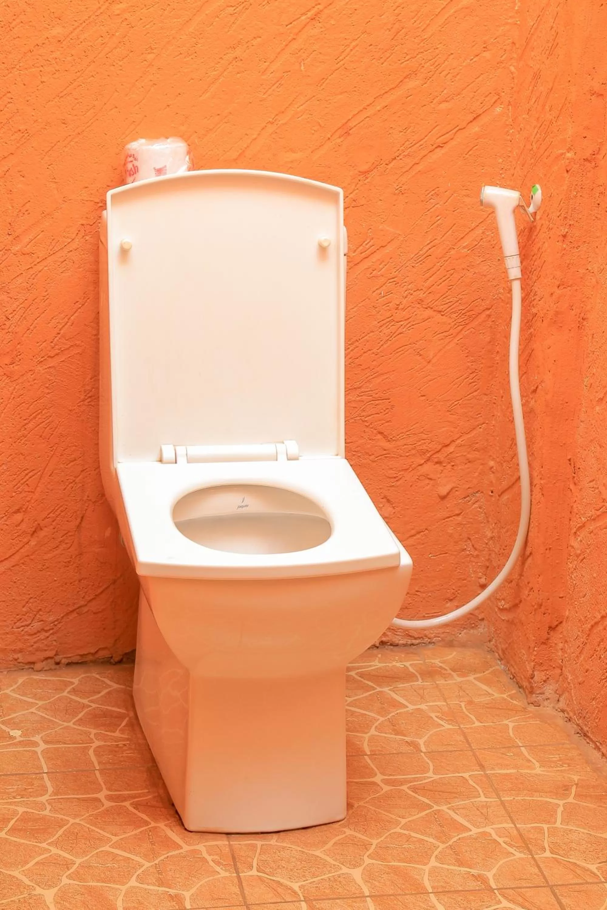 Toilet, Bathroom in African Tribe Suites