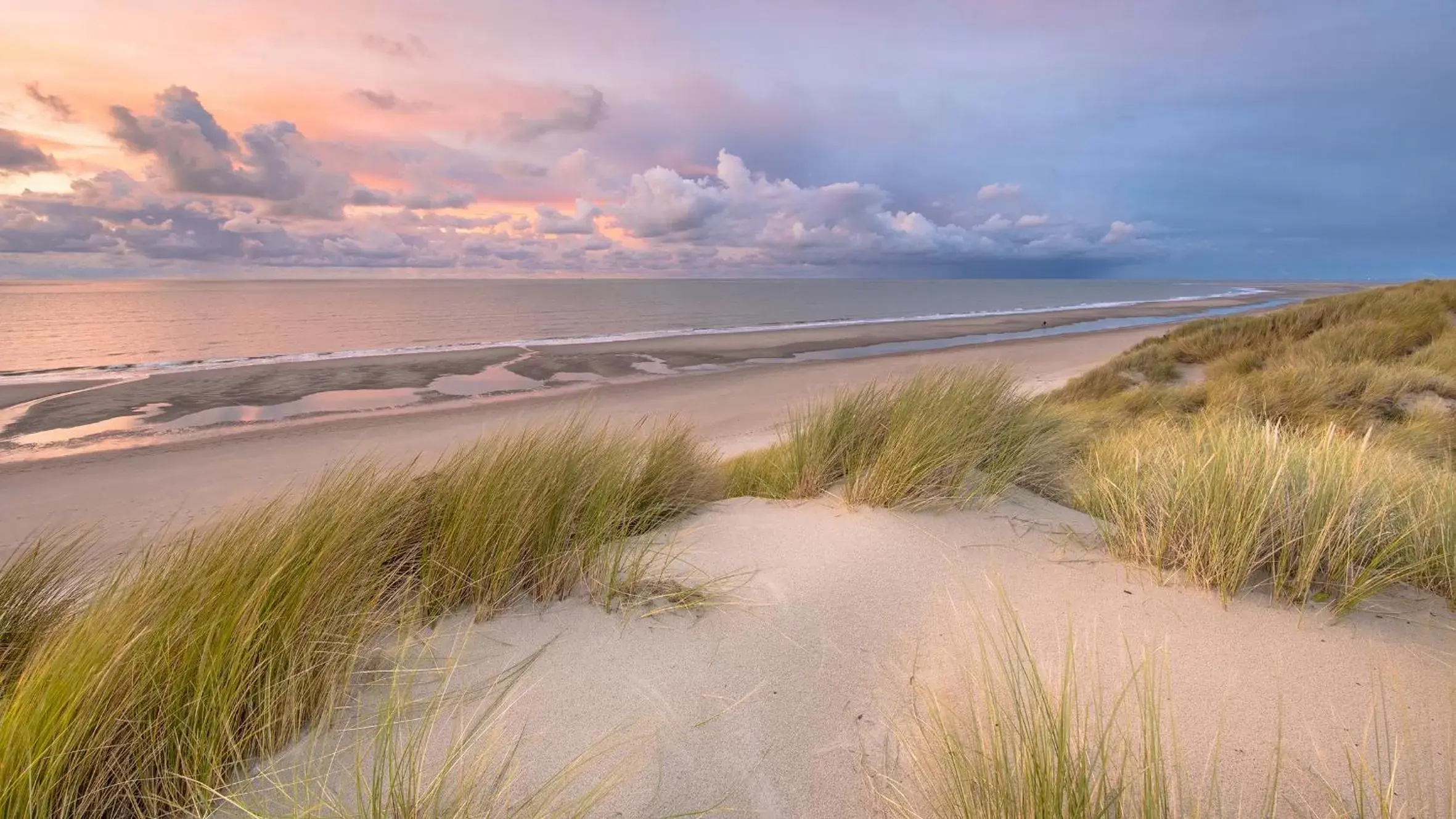 Natural landscape, Beach in Hotel Astoria