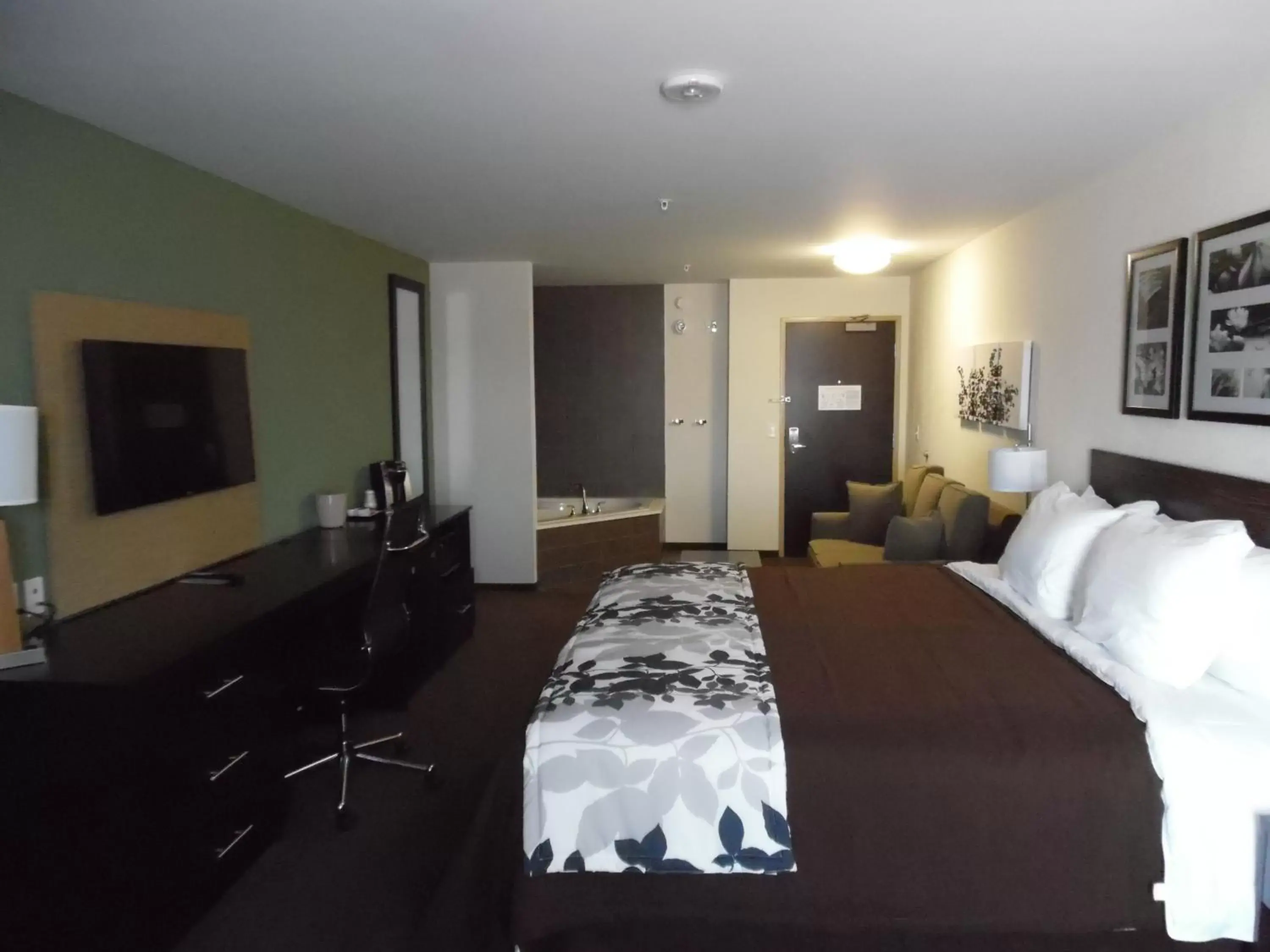 Shower, Room Photo in Sleep Inn & Suites East Syracuse