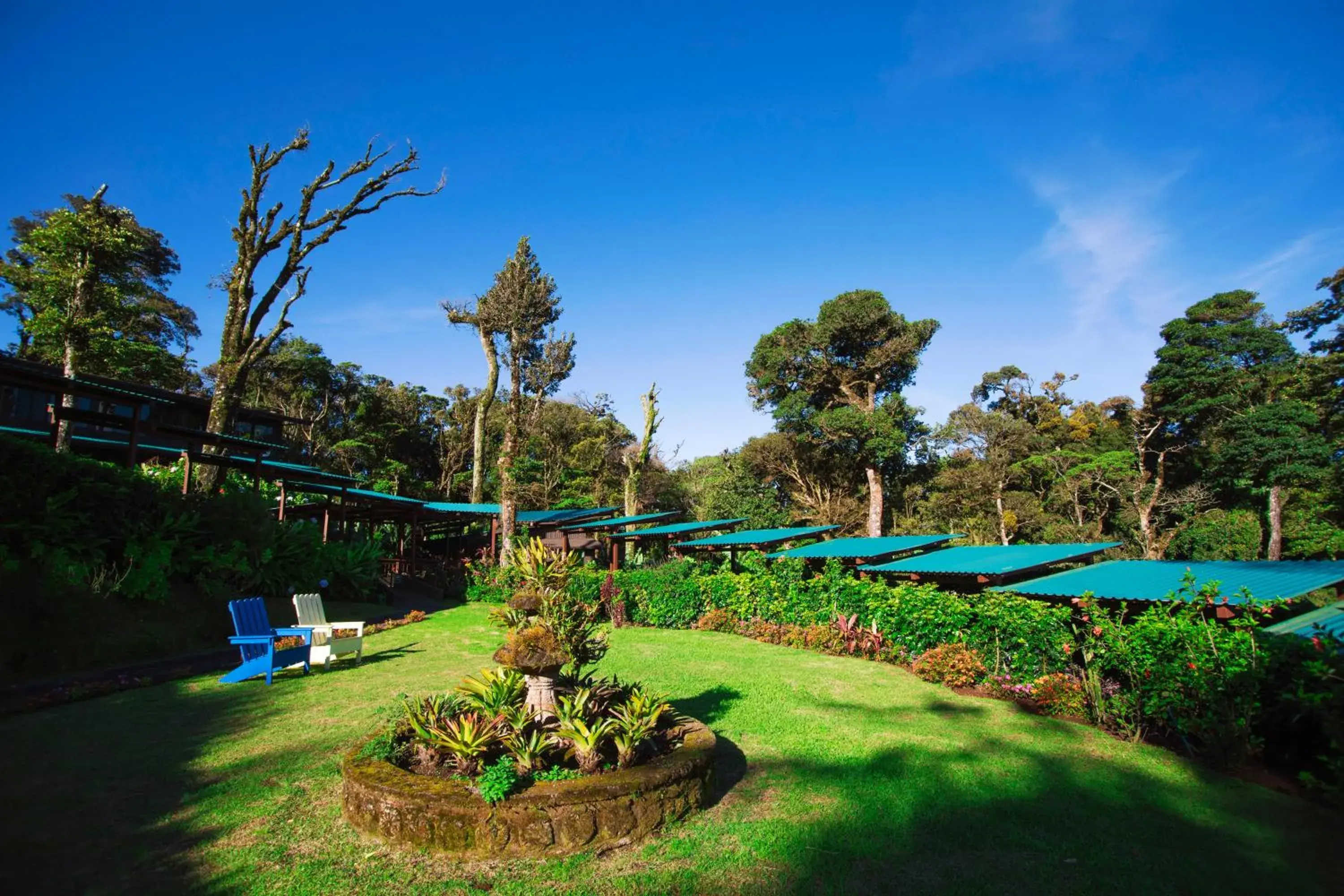 Garden view in Trapp Family Lodge Monteverde