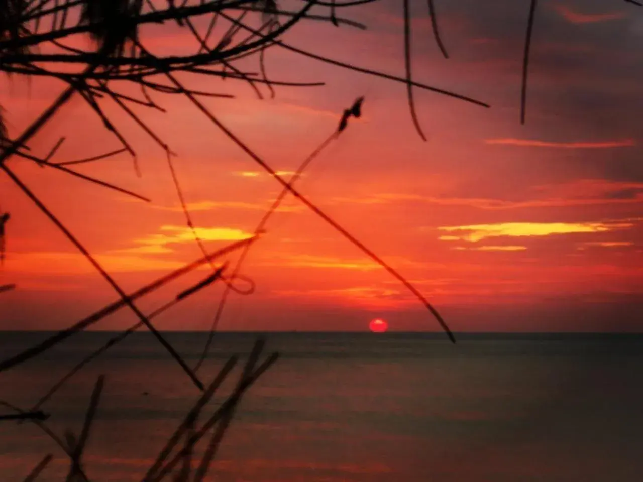 Sea view, Sunrise/Sunset in Eco Lanta Hideaway Beach Resort