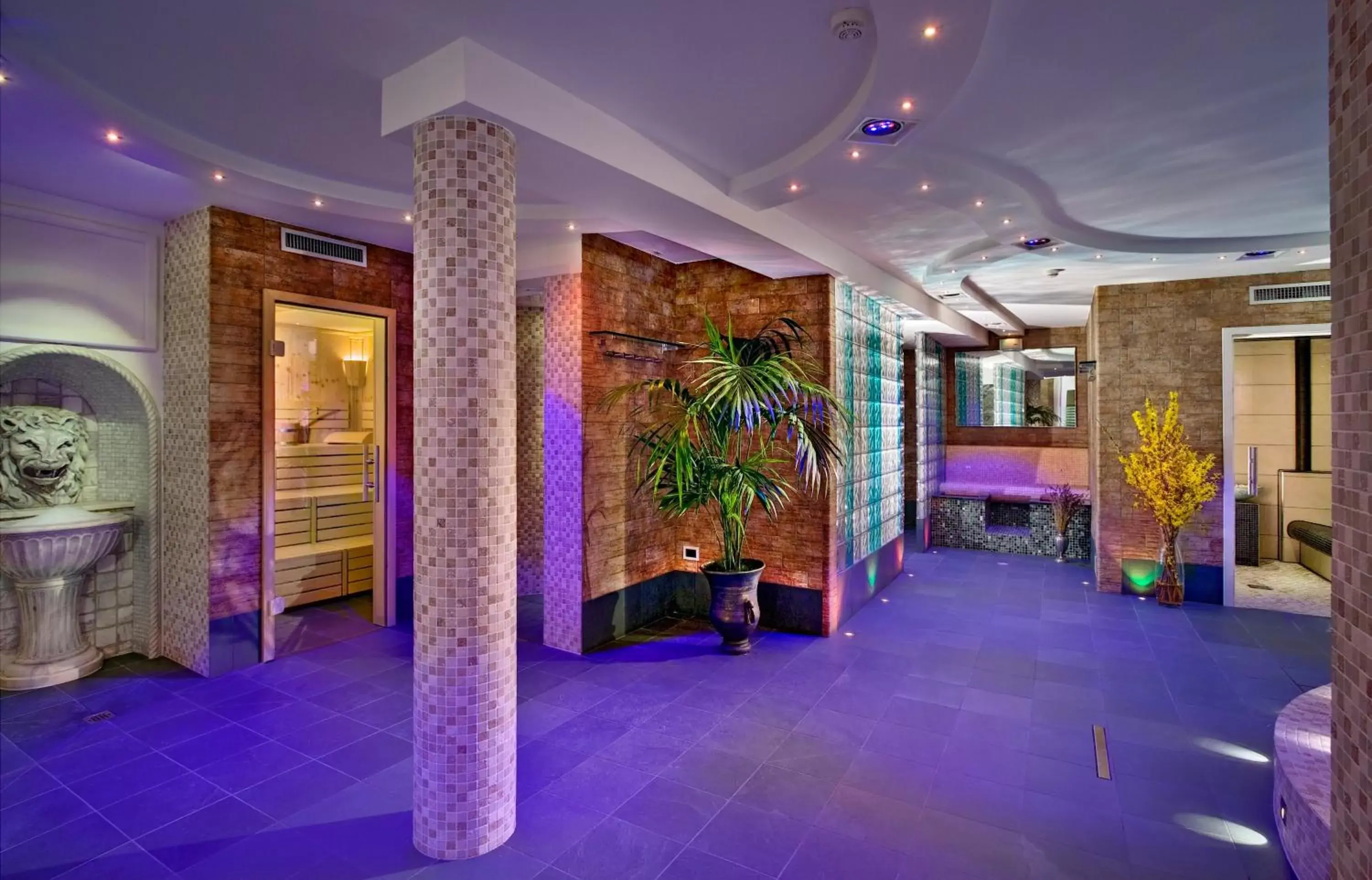 Spa and wellness centre/facilities in Hotel Sassella