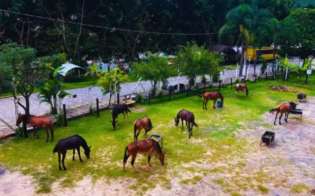 Animals in Pousada Jovimar