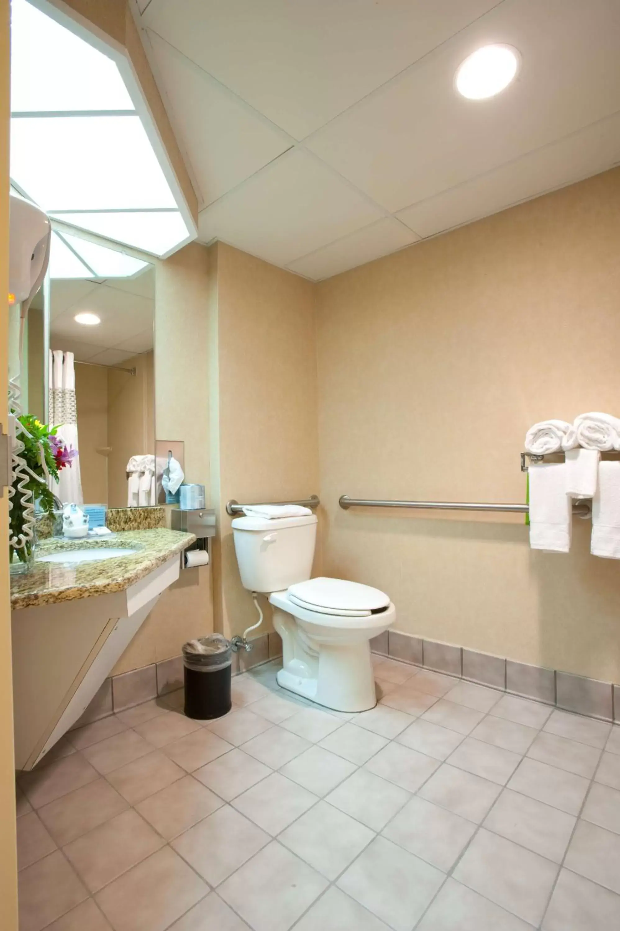 Bathroom in Hampton Inn Downingtown/Exton