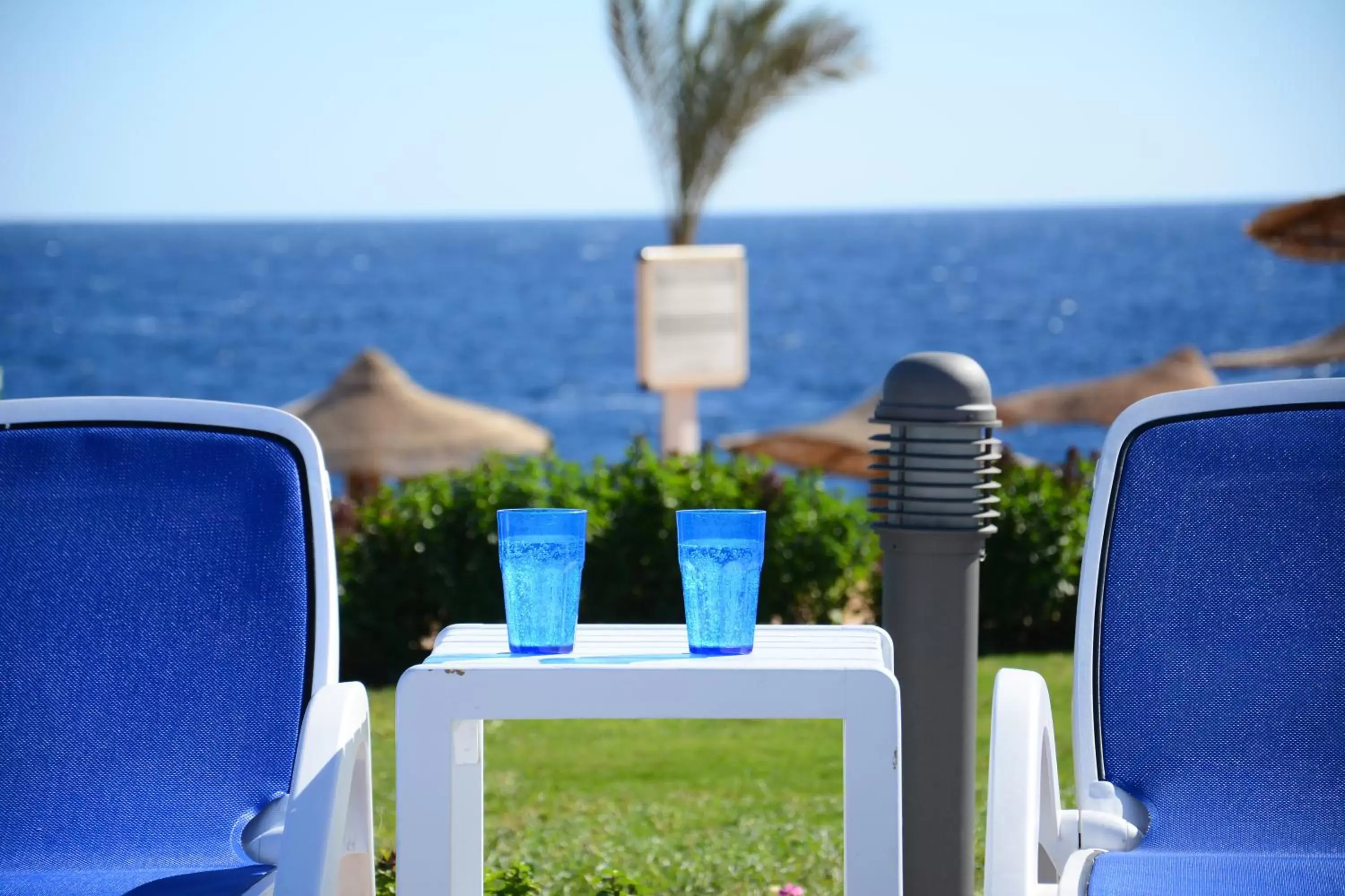 Beach, Sea View in Monte Carlo Sharm Resort & Spa