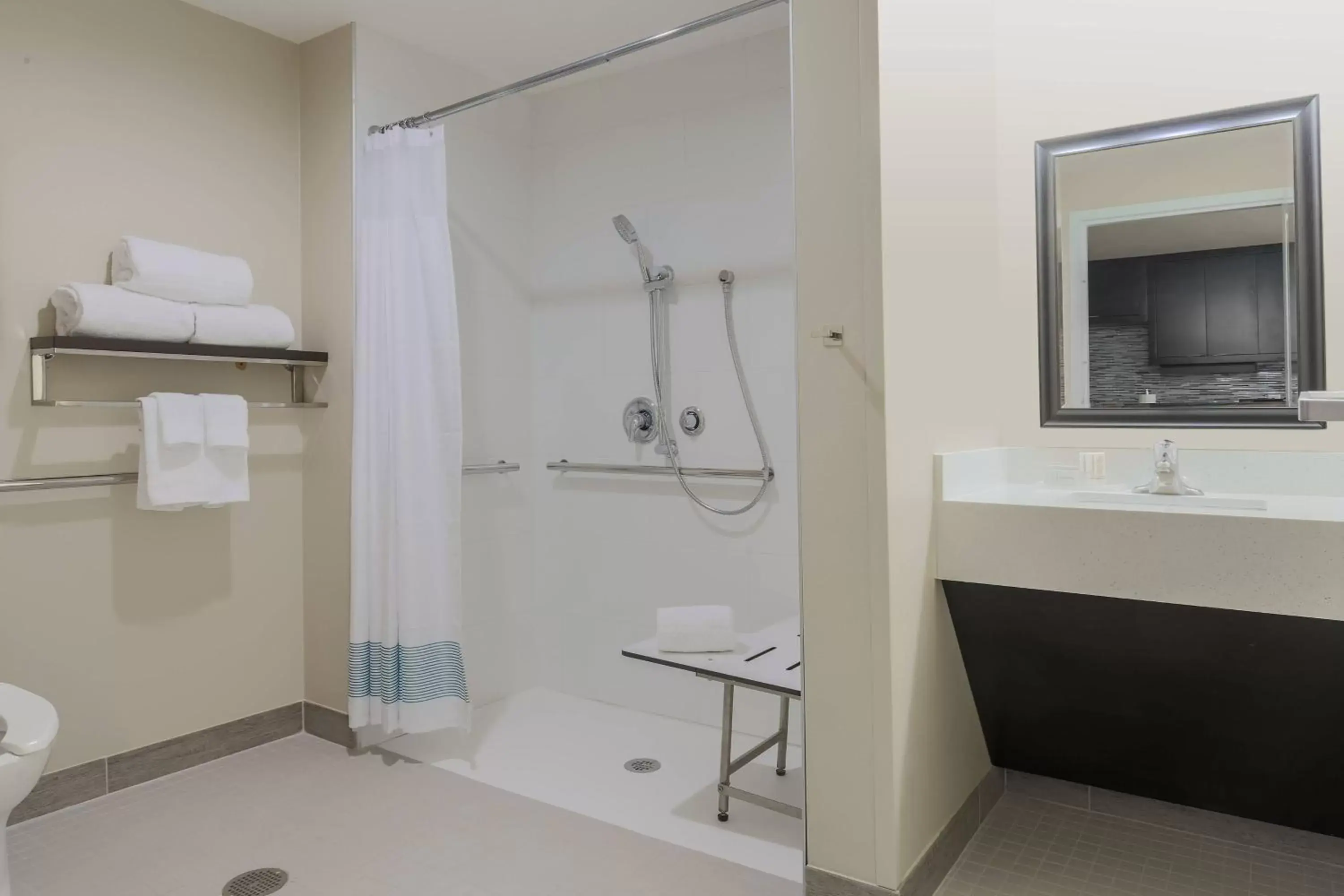 Bathroom in TownePlace Suites by Marriott McAllen Edinburg