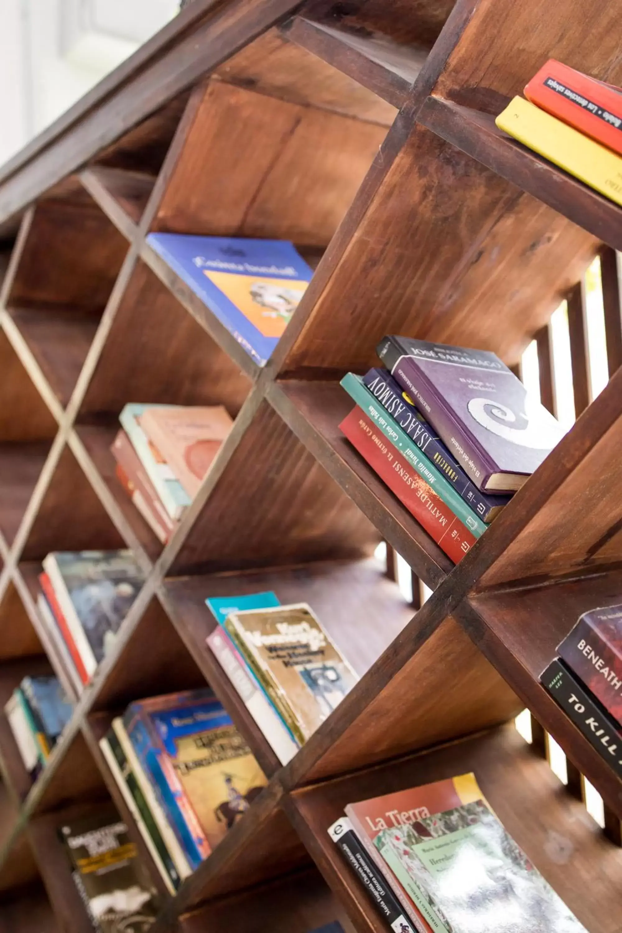 Library in Casa María Aeropuerto B&B