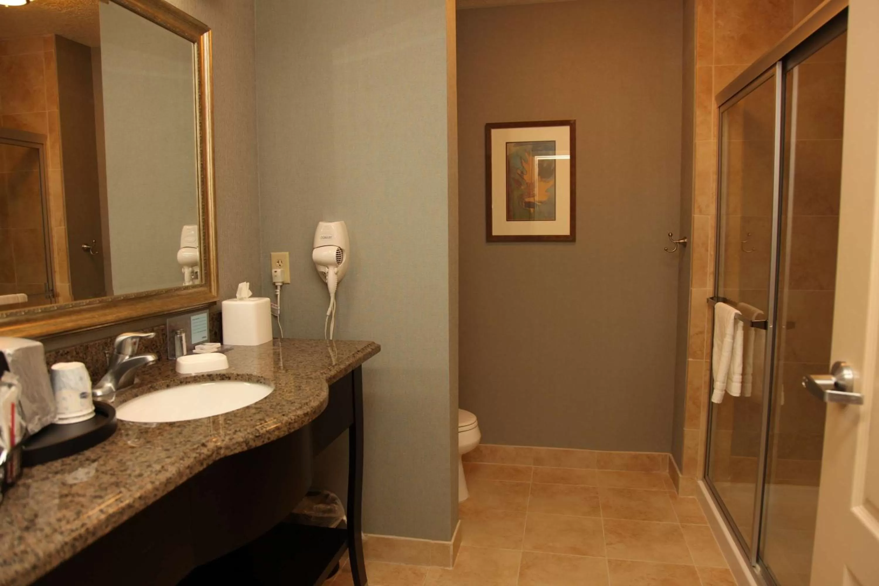 Deluxe King Room in Hampton Inn & Suites Carlsbad