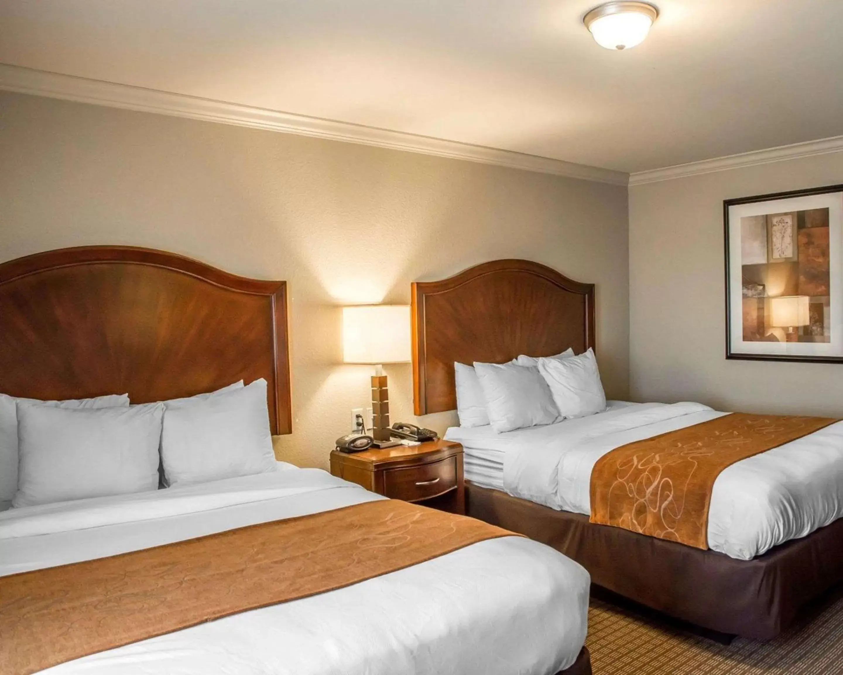 Photo of the whole room in Comfort Suites Cincinnati North Photo of the whole room in Comfort Suites Cincinnati North