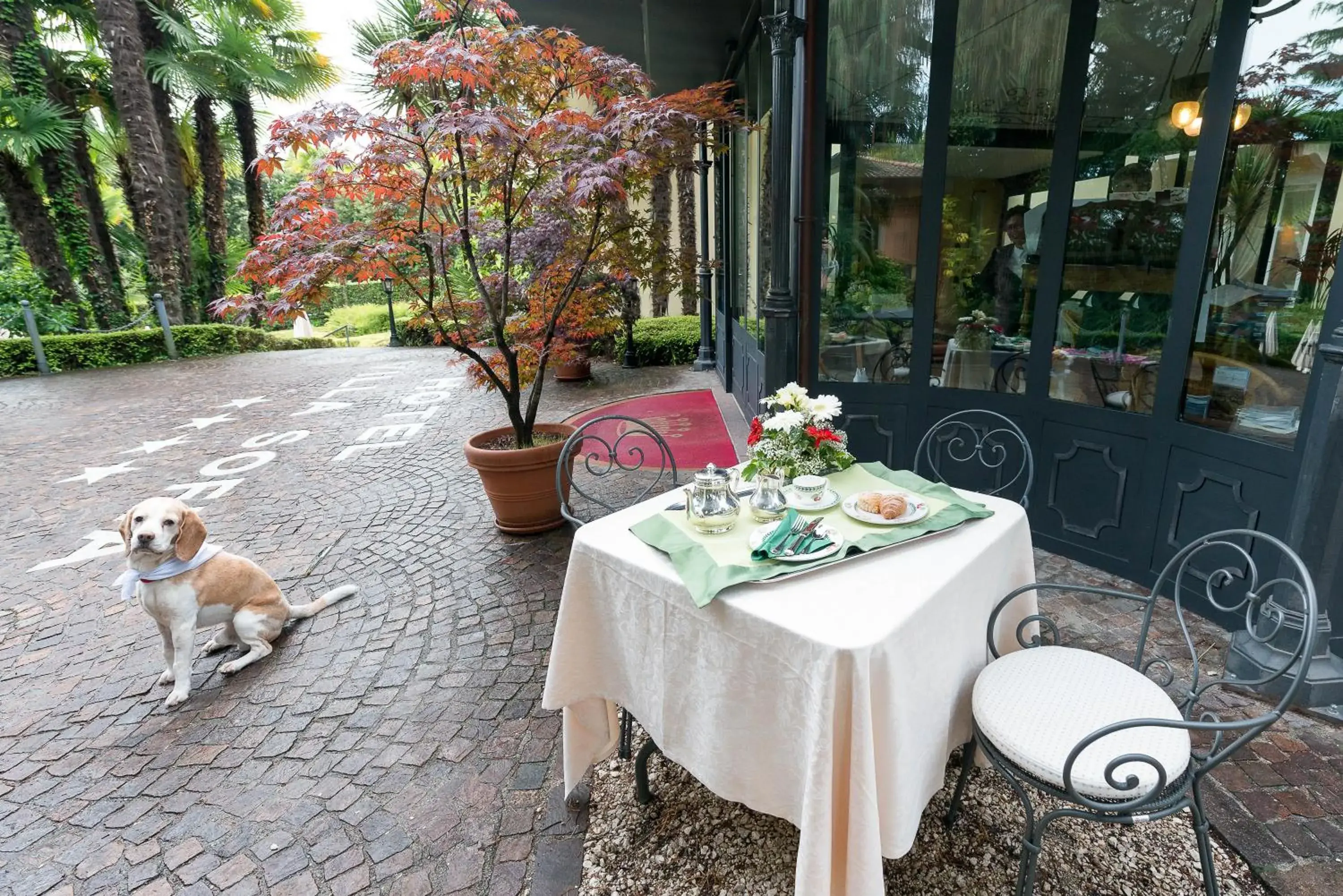 Facade/entrance in Hotel Villa Sofia