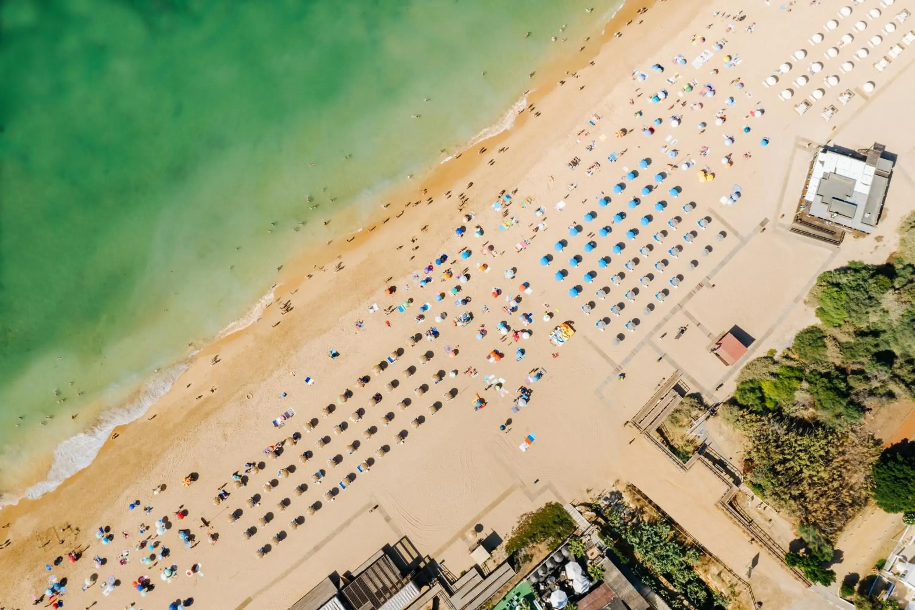 Natural landscape, Bird's-eye View in Monica Isabel Beach Club